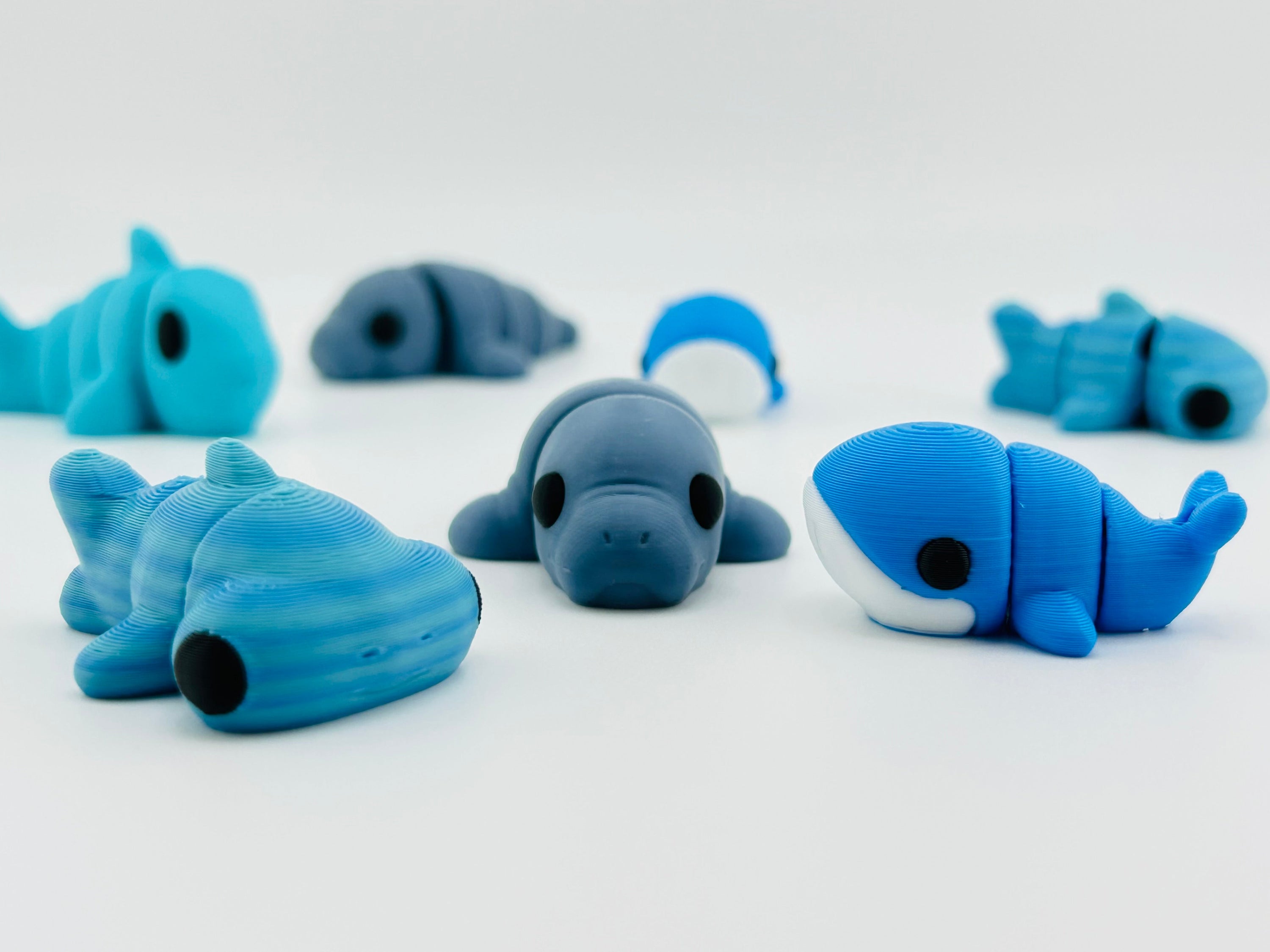 Ocean Creatures