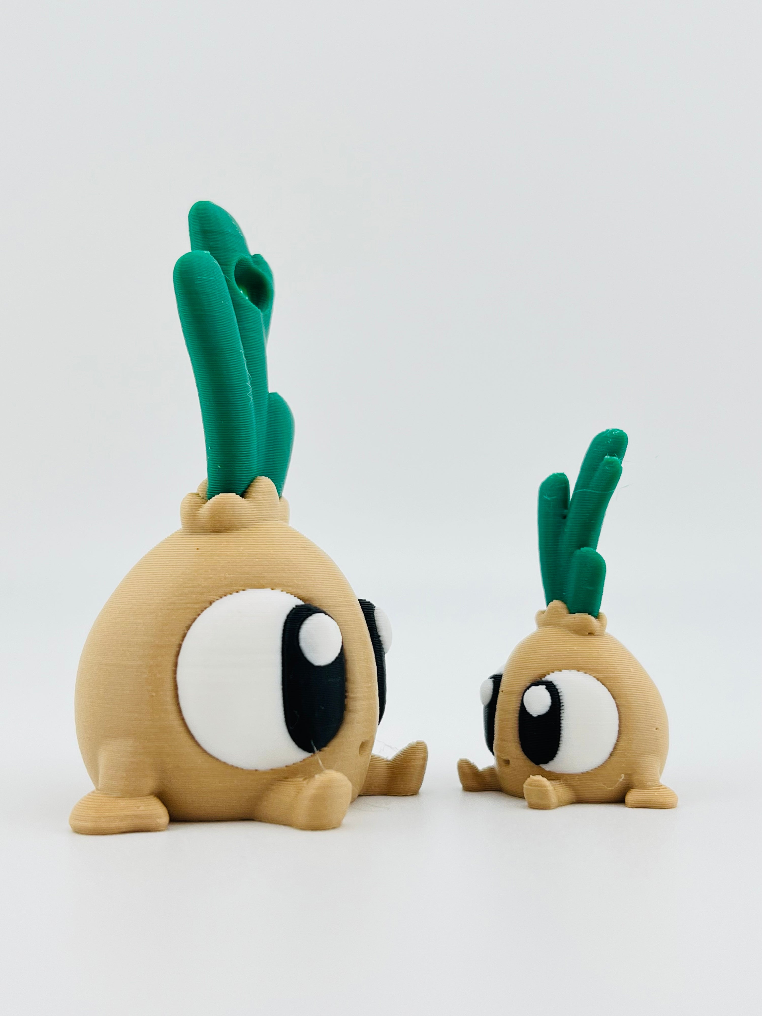 Onion