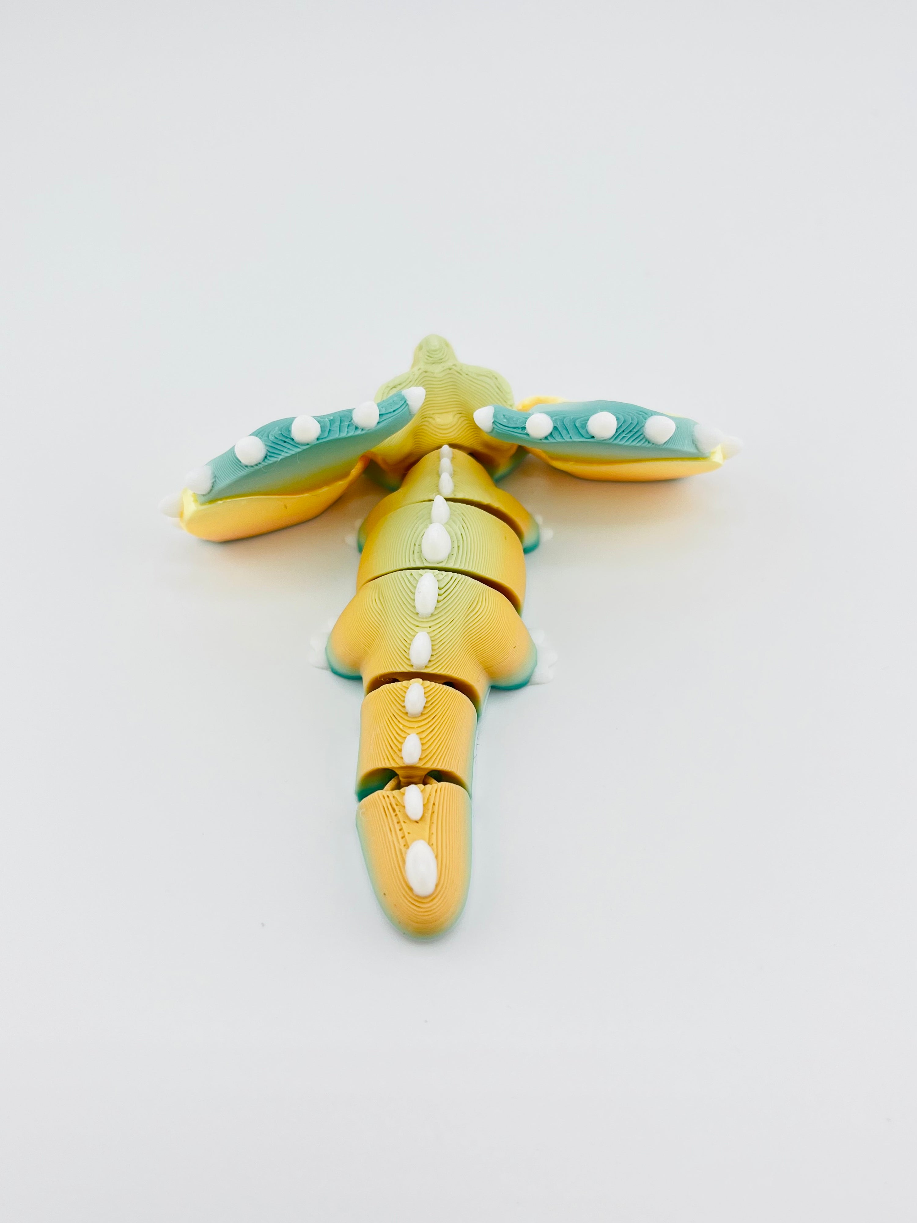 Gradient Australian Dragon
