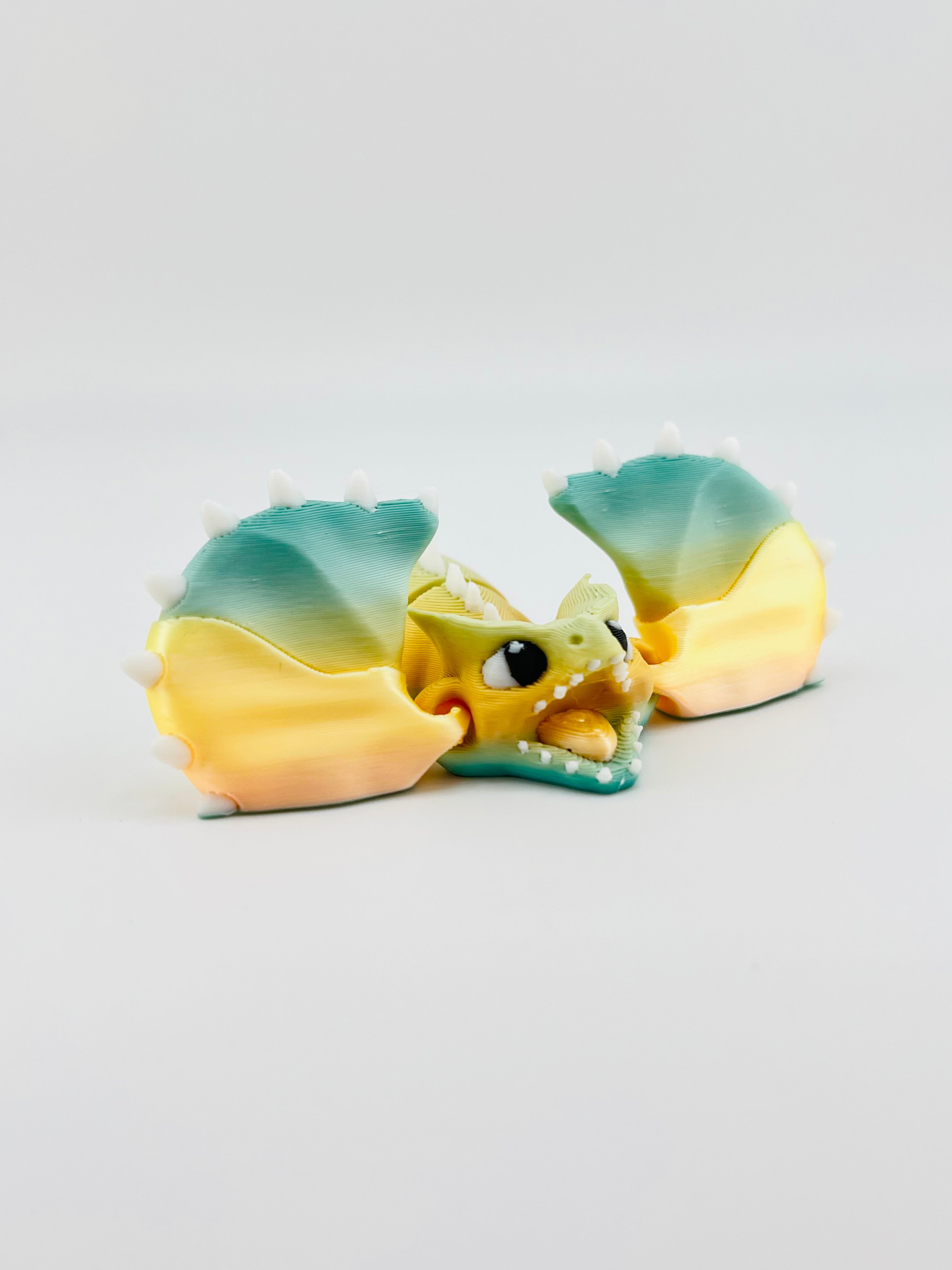 Gradient Australian Dragon