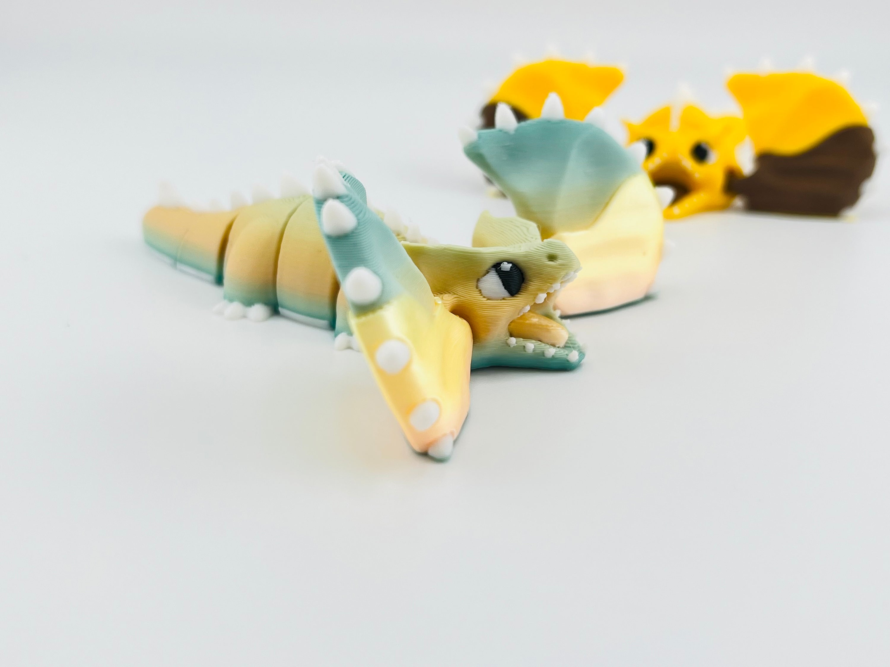 Gradient Australian Dragon