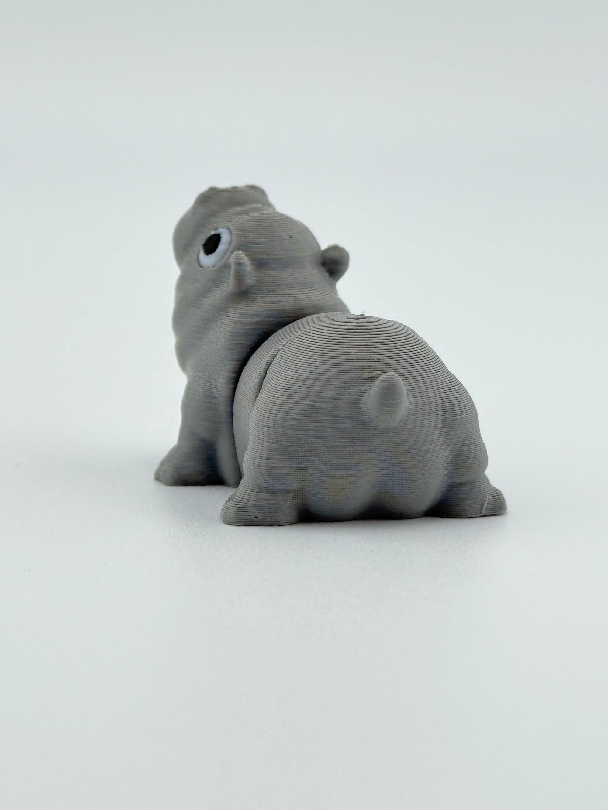 Moo Deng Hippopotamus