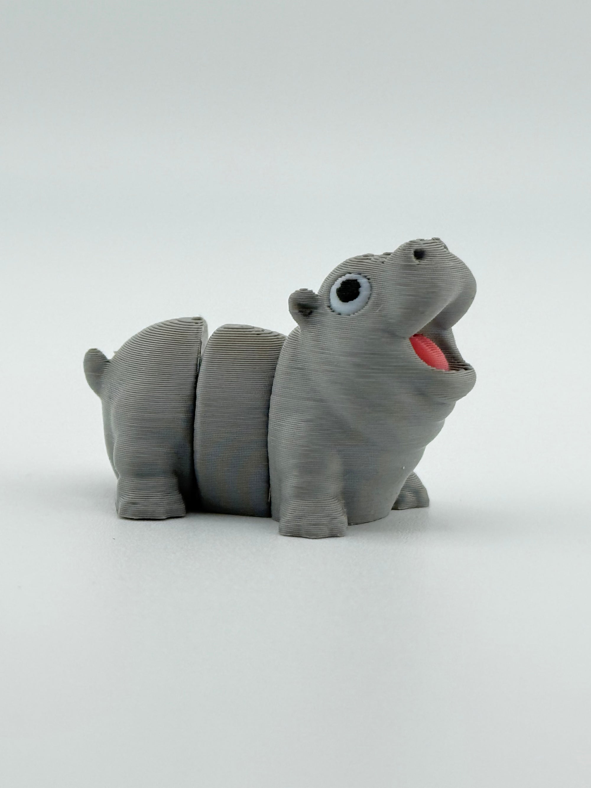 Moo Deng Hippopotamus