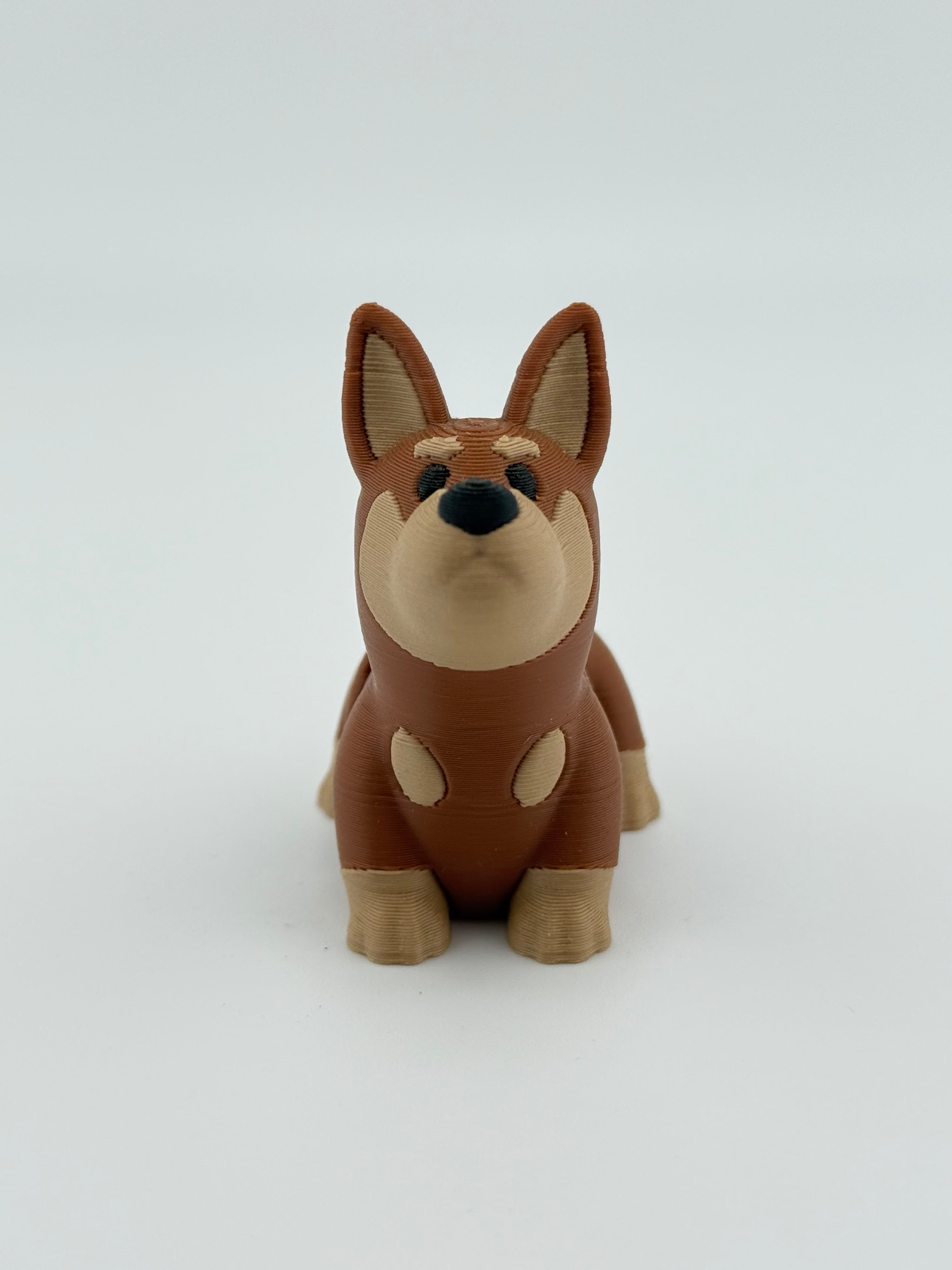 Dark Brown Dog