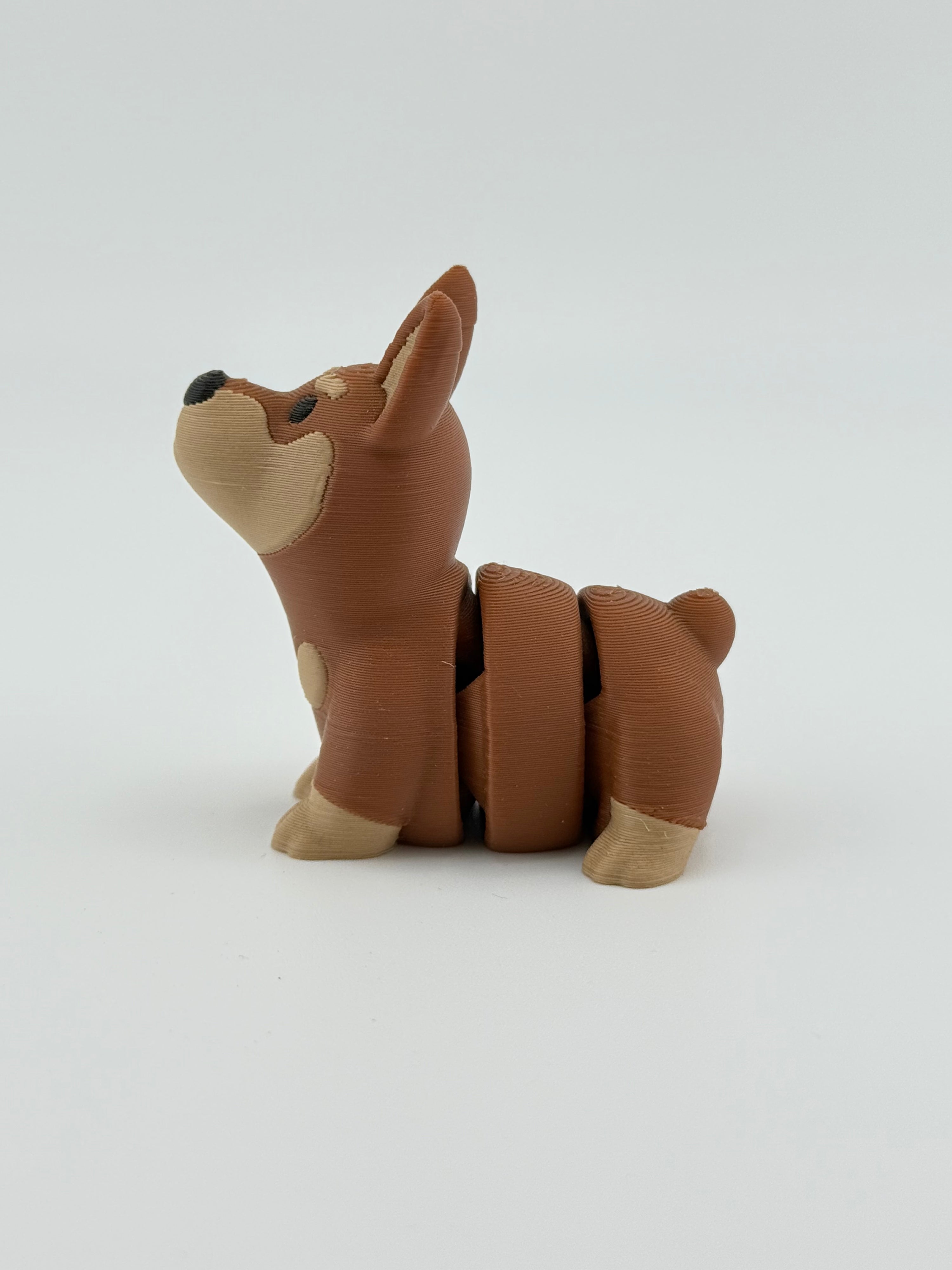 Dark Brown Dog