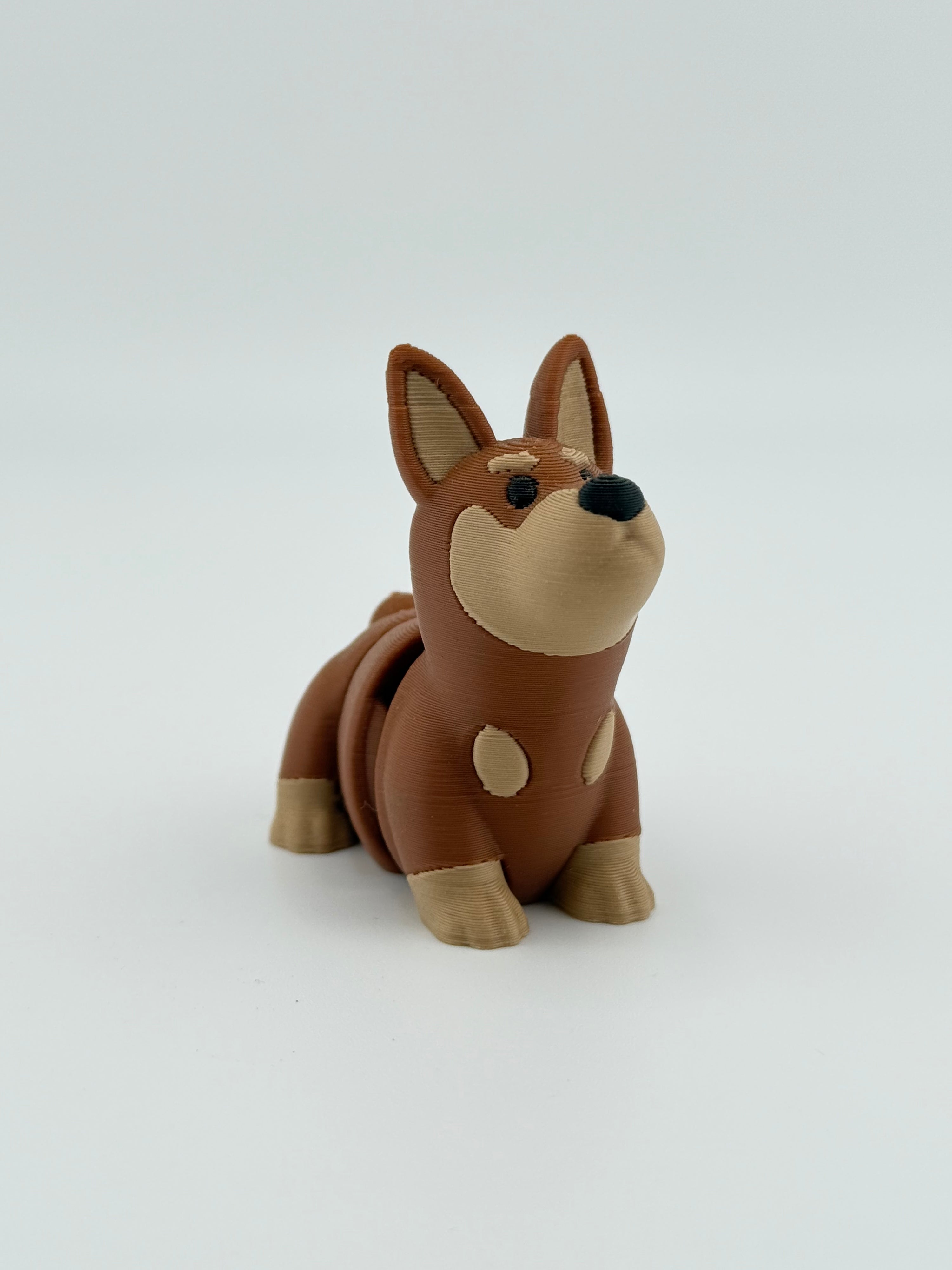 Dark Brown Dog