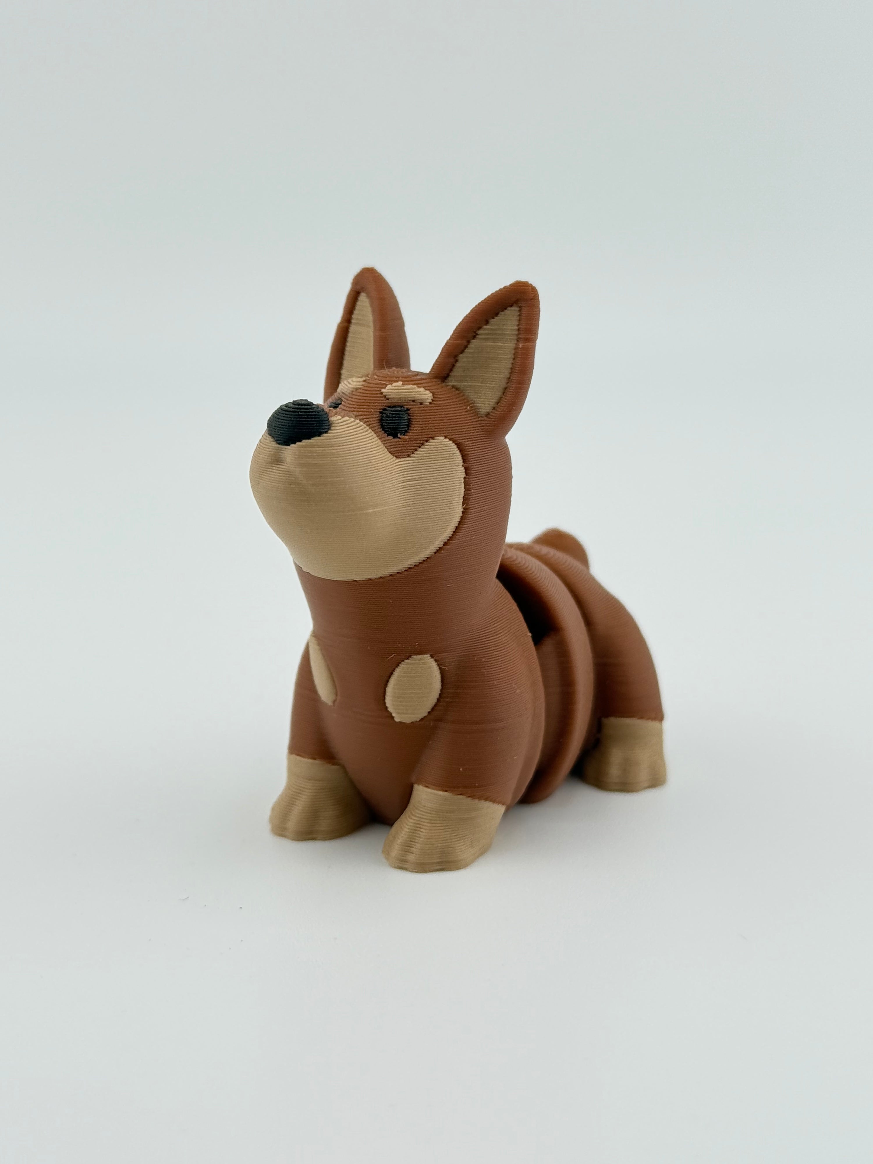 Dark Brown Dog