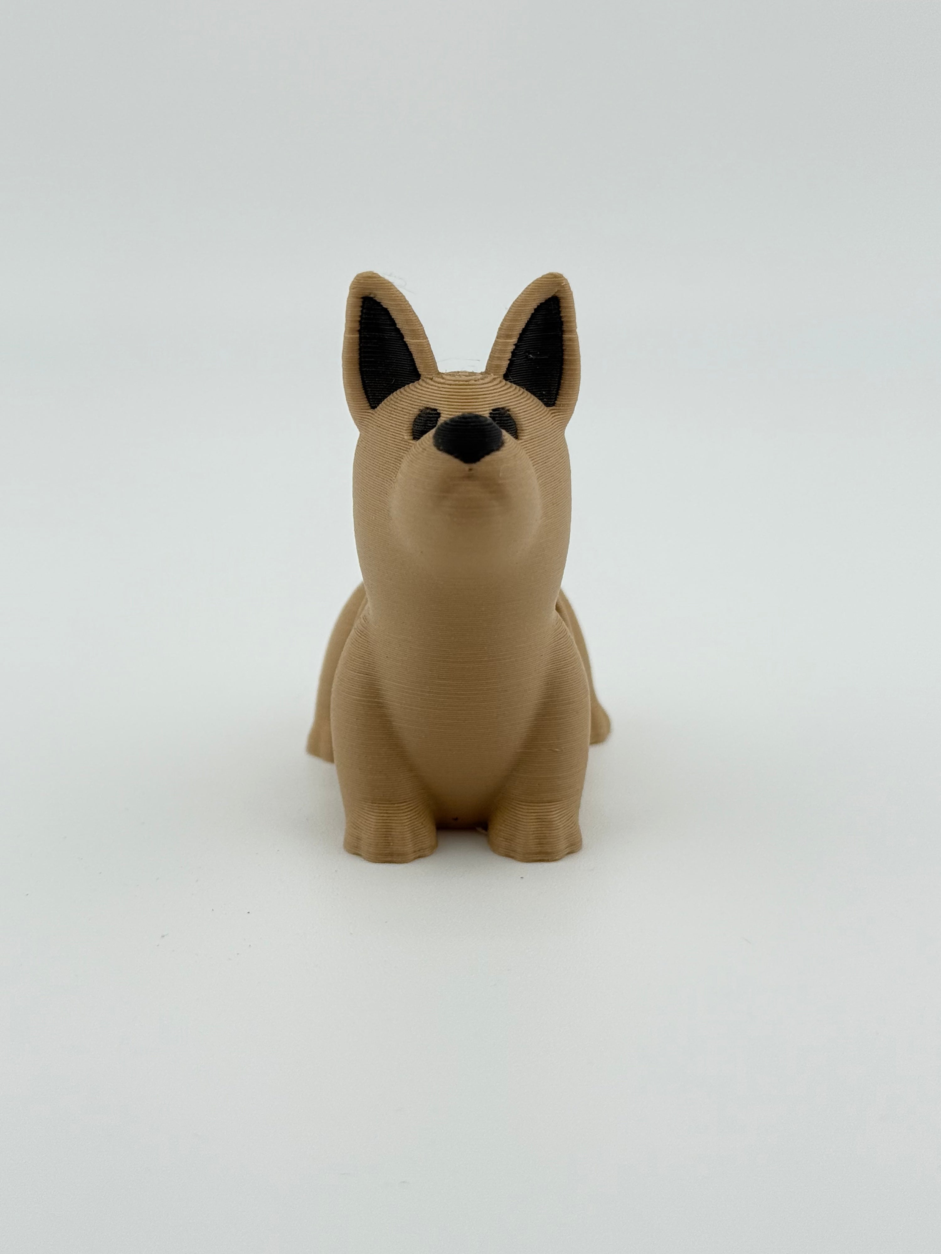Light Brown Dog