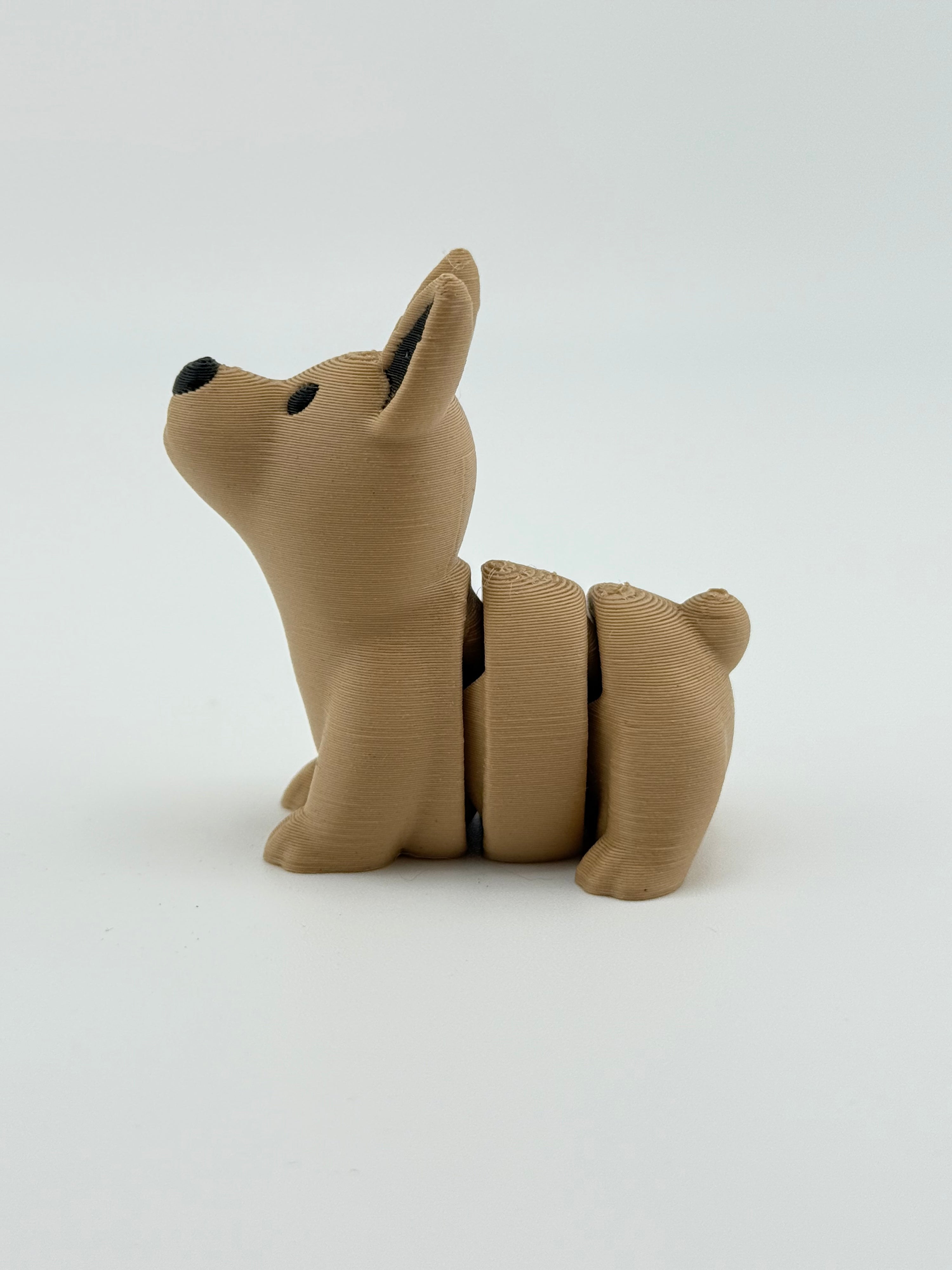 Light Brown Dog