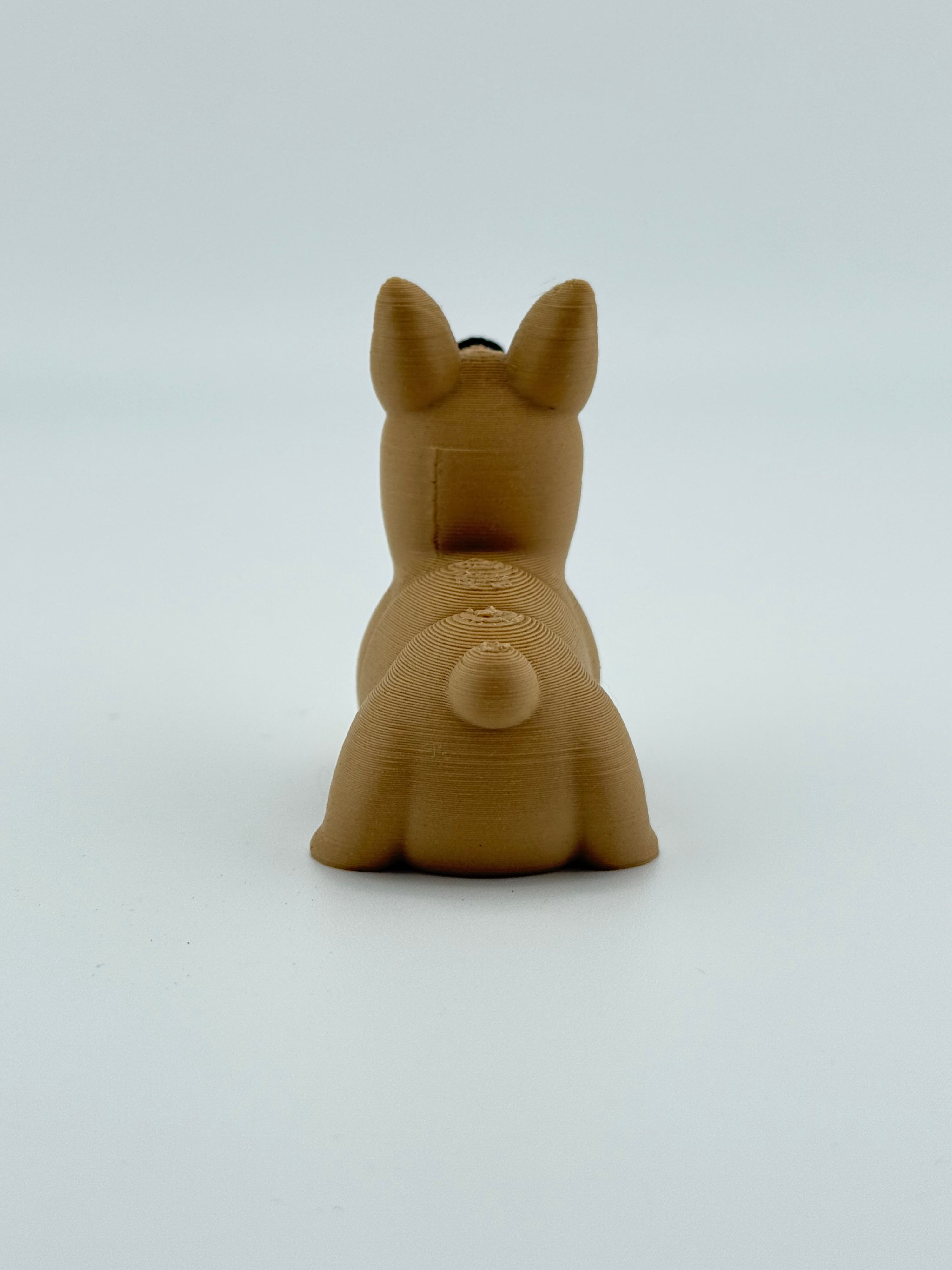 Light Brown Dog