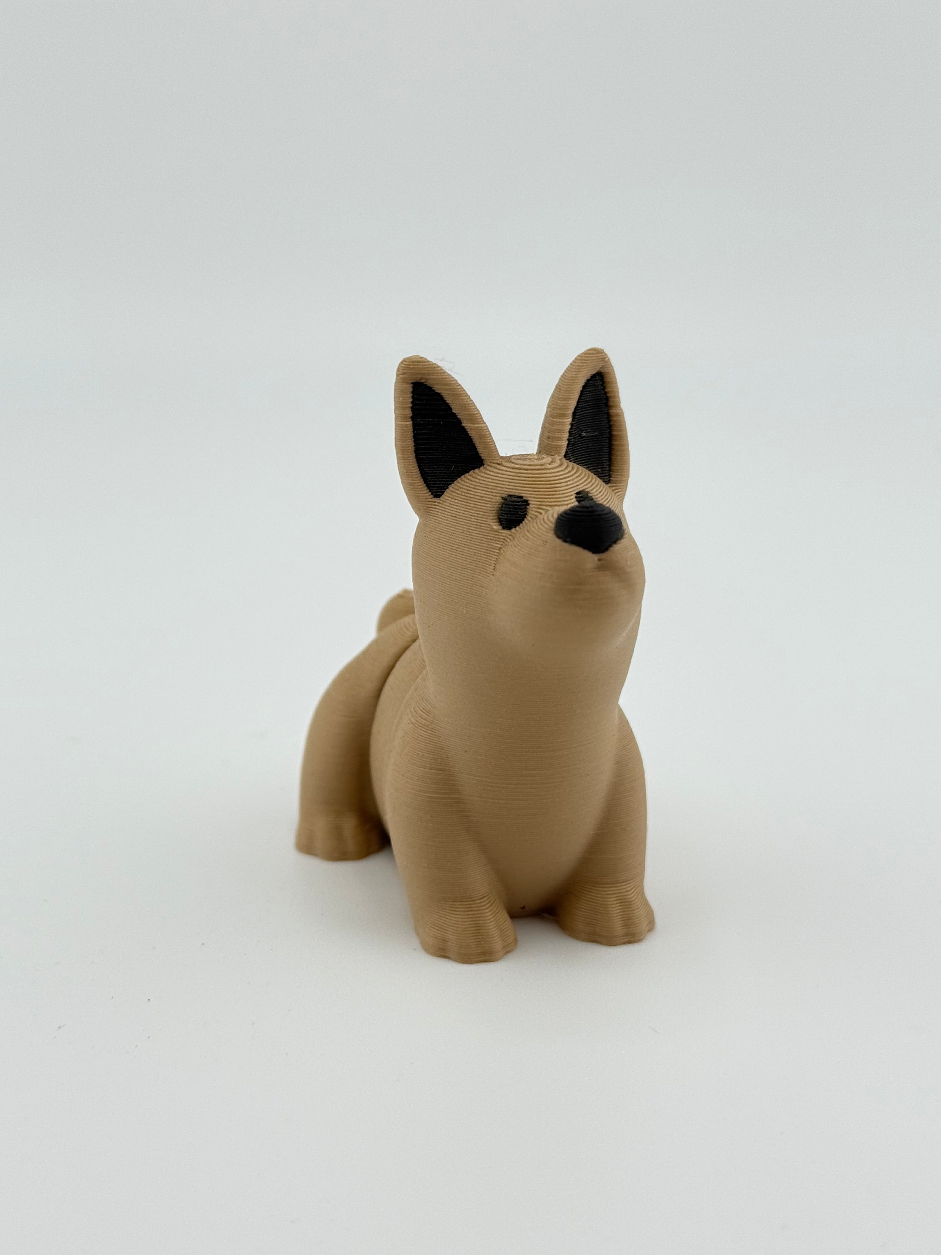 Light Brown Dog
