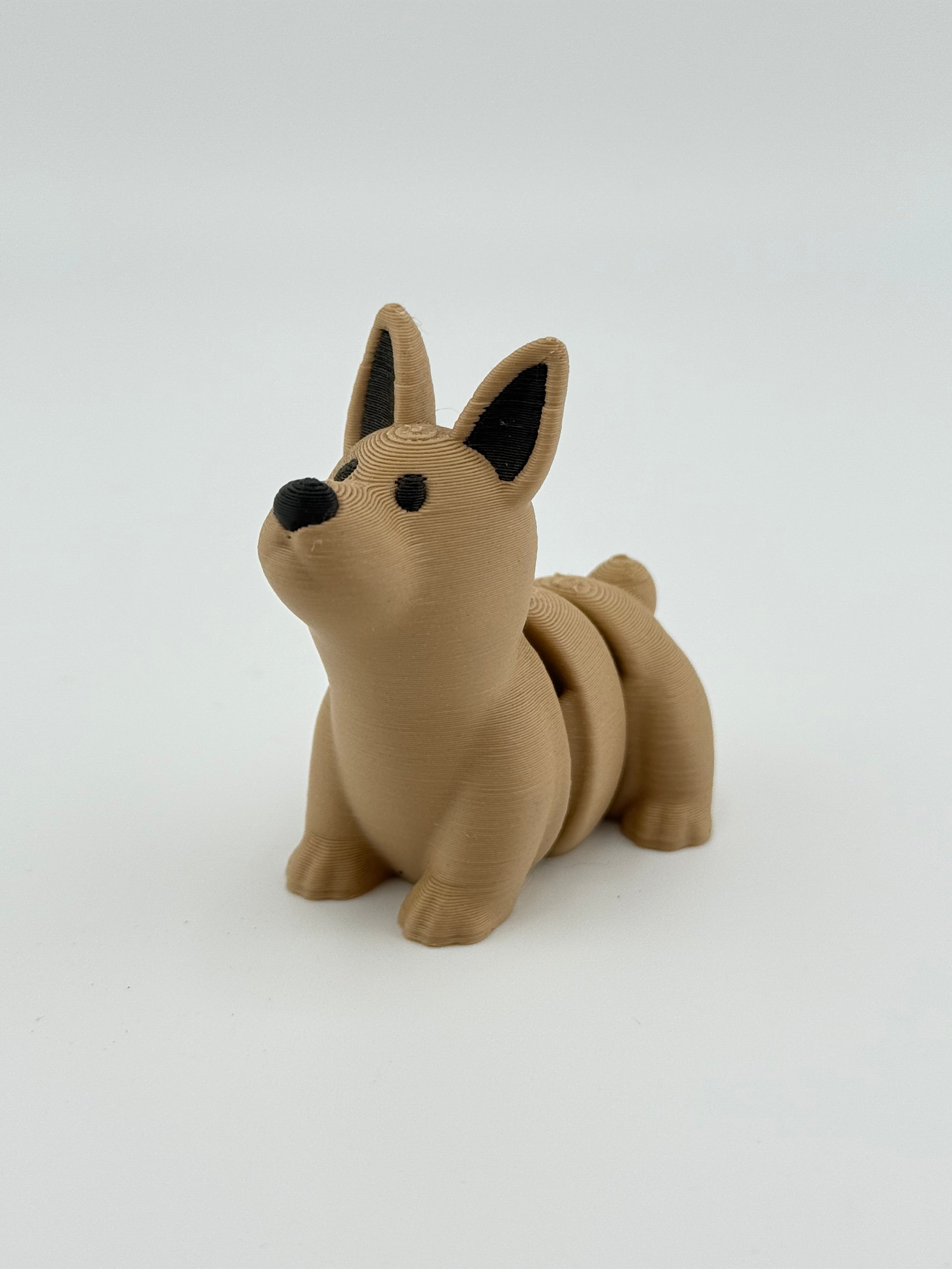 Light Brown Dog