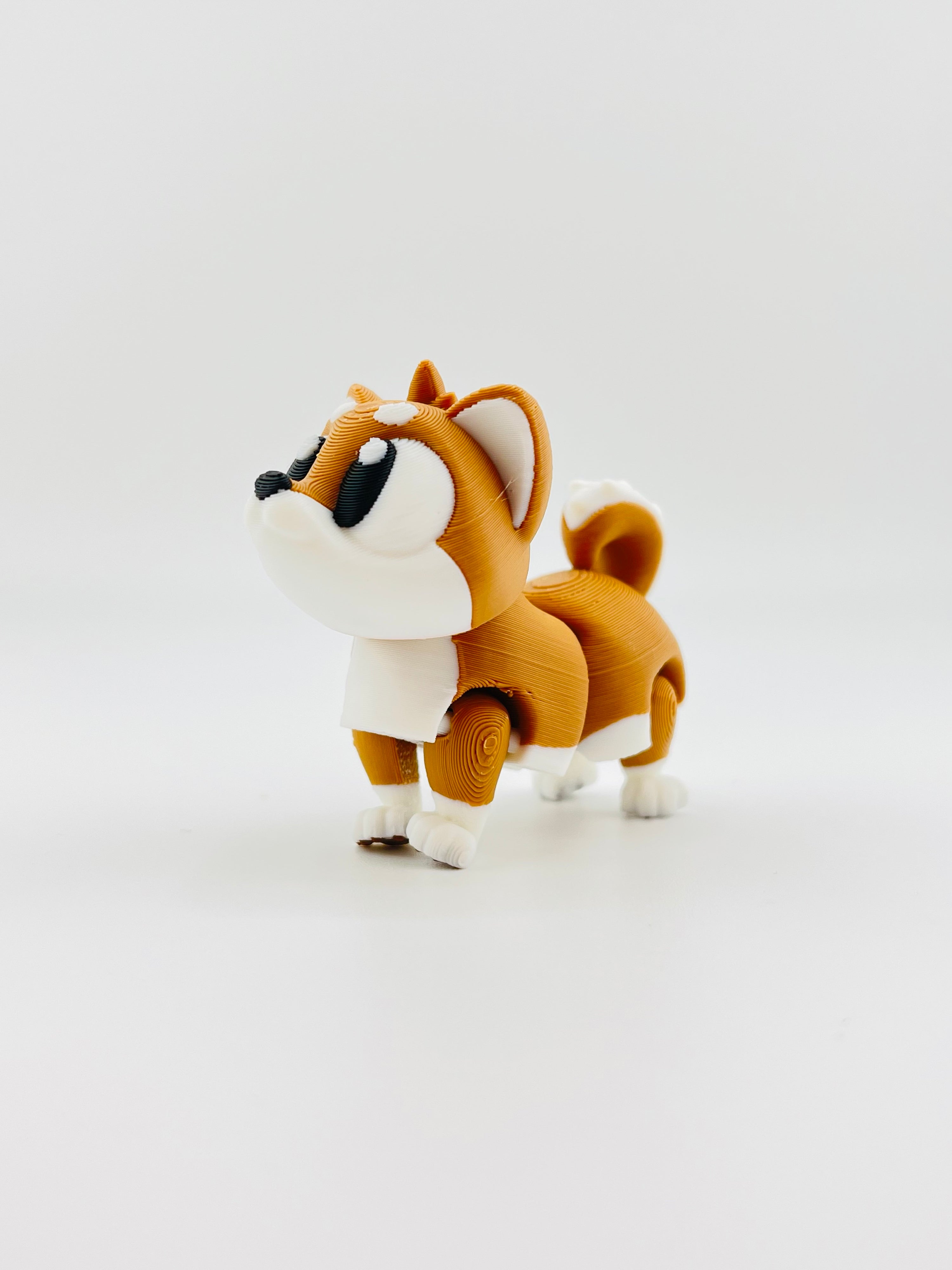 Shiba Inu