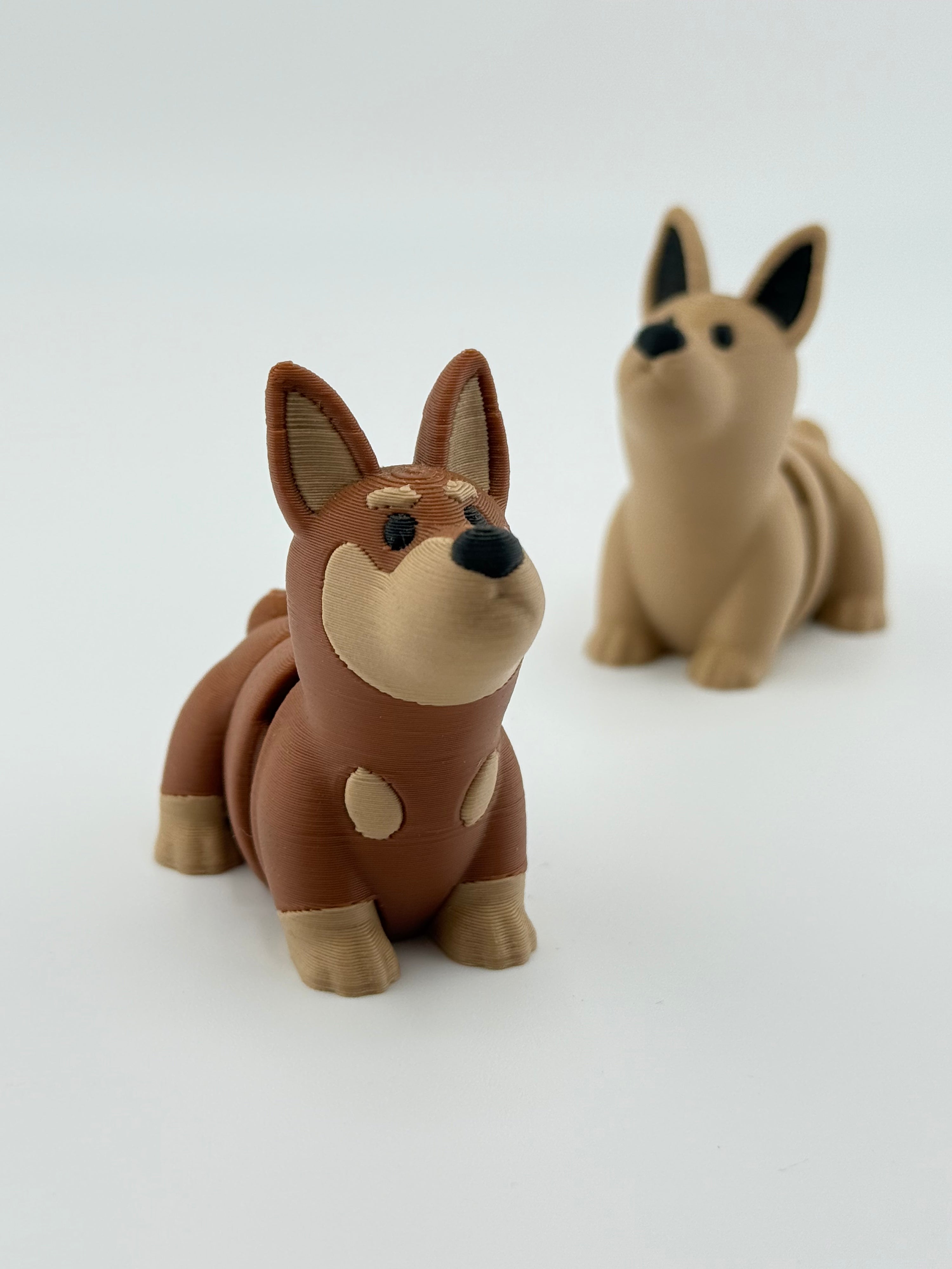 Dark Brown Dog