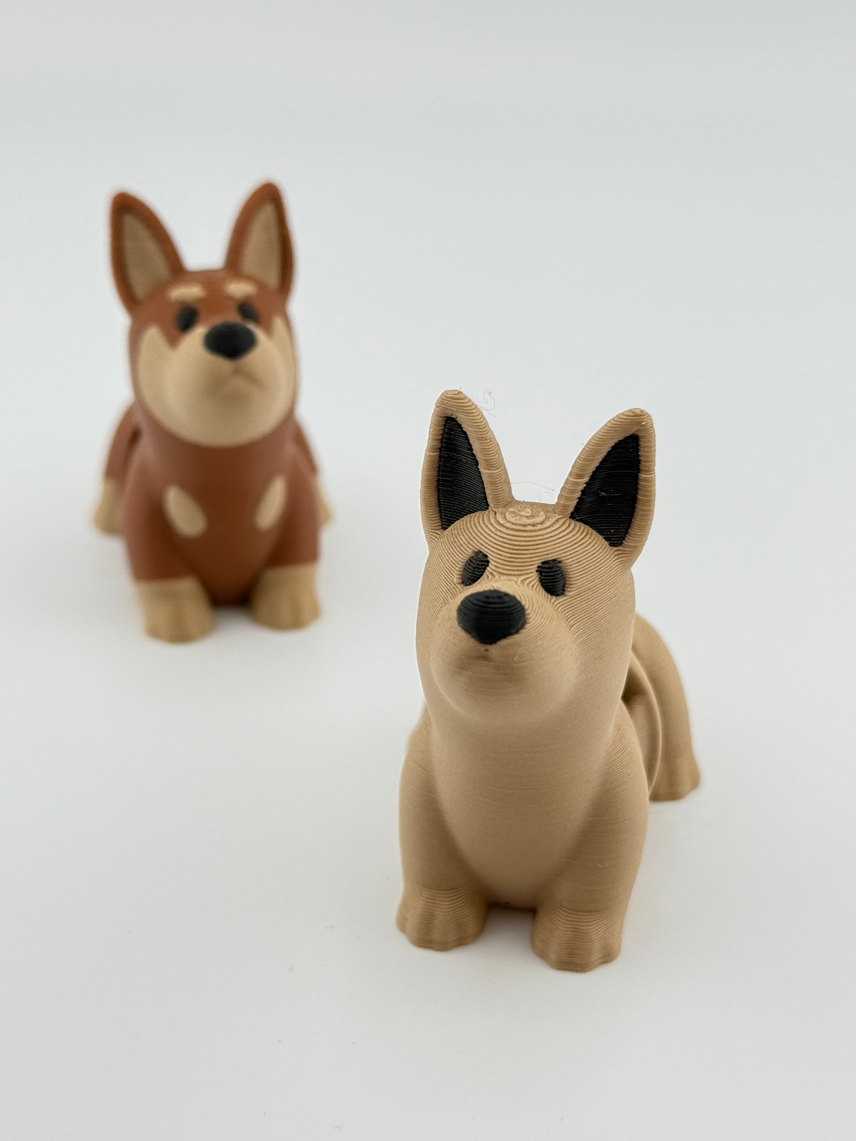 Light Brown Dog