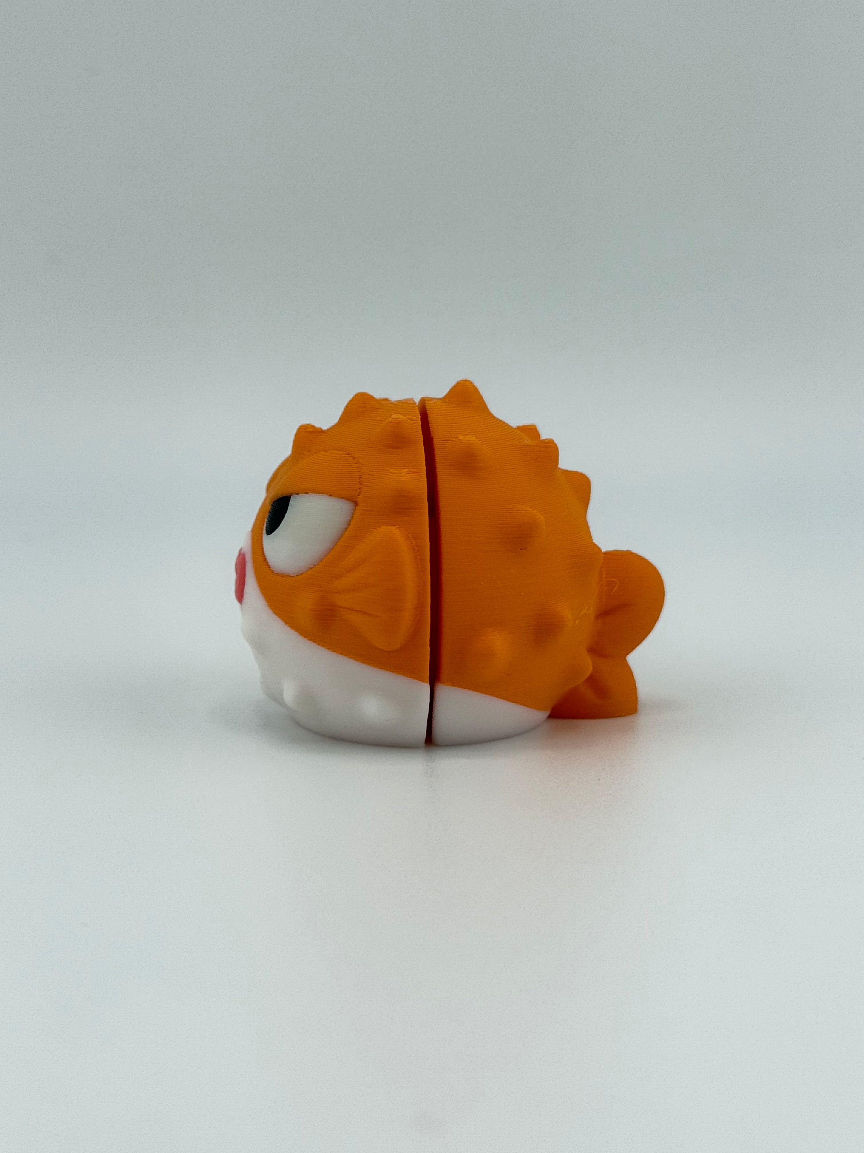 Orange Puffer Fish