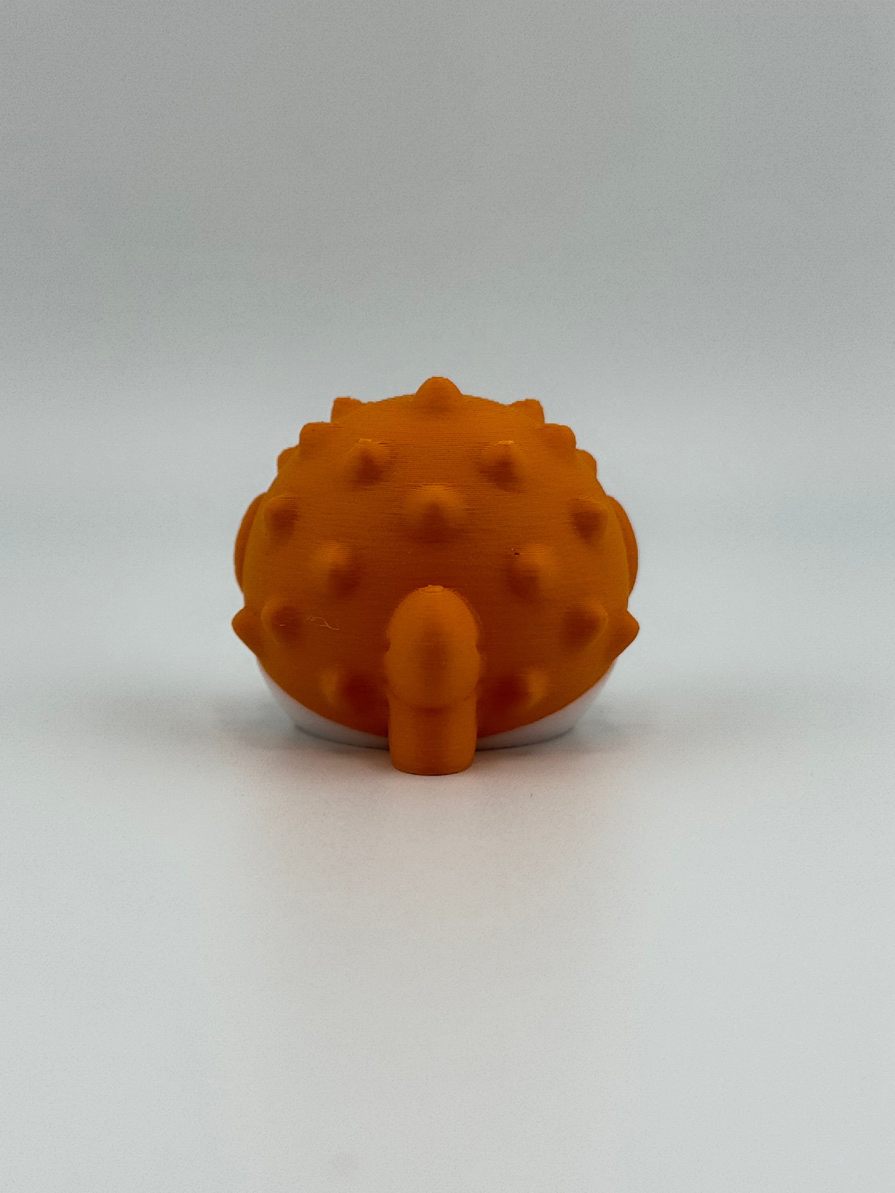 Orange Puffer Fish