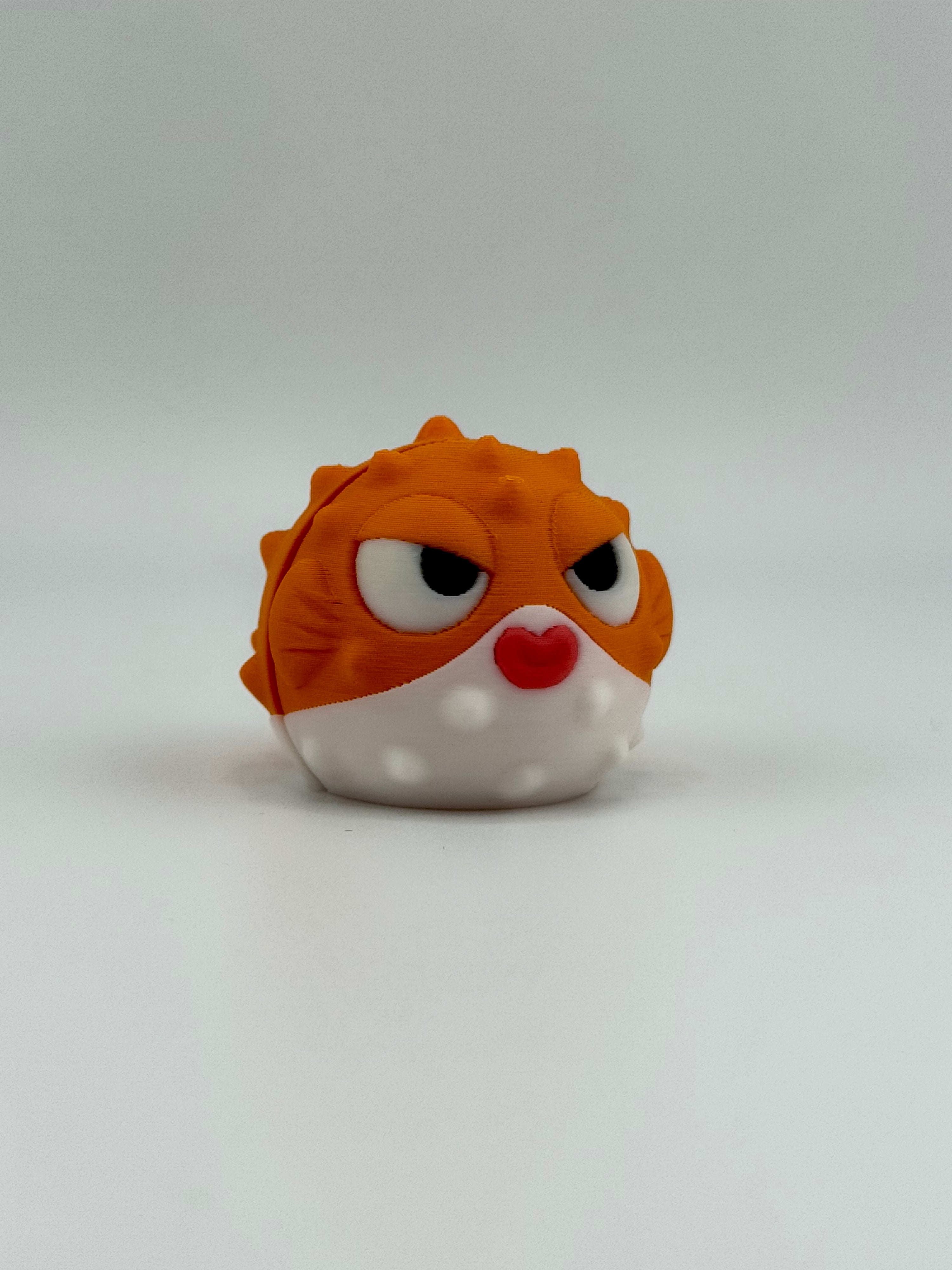 Orange Puffer Fish