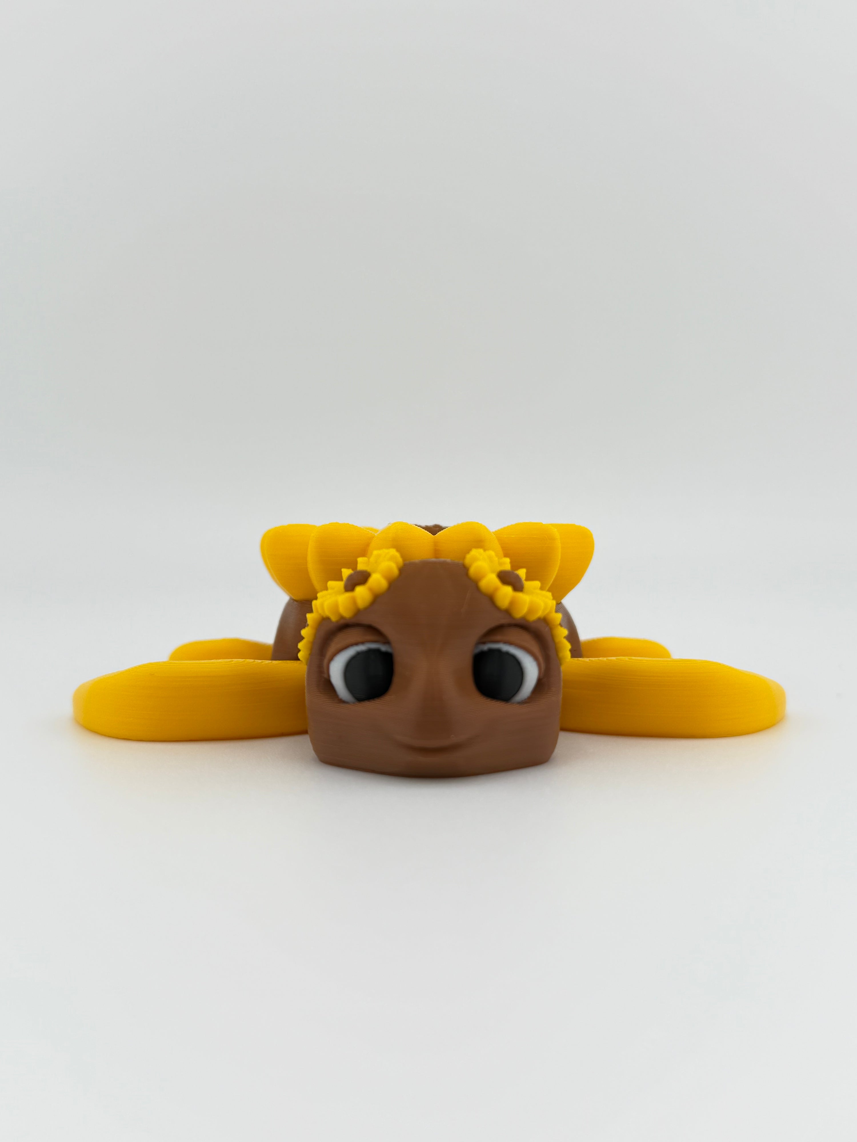 Sunflower Turtle