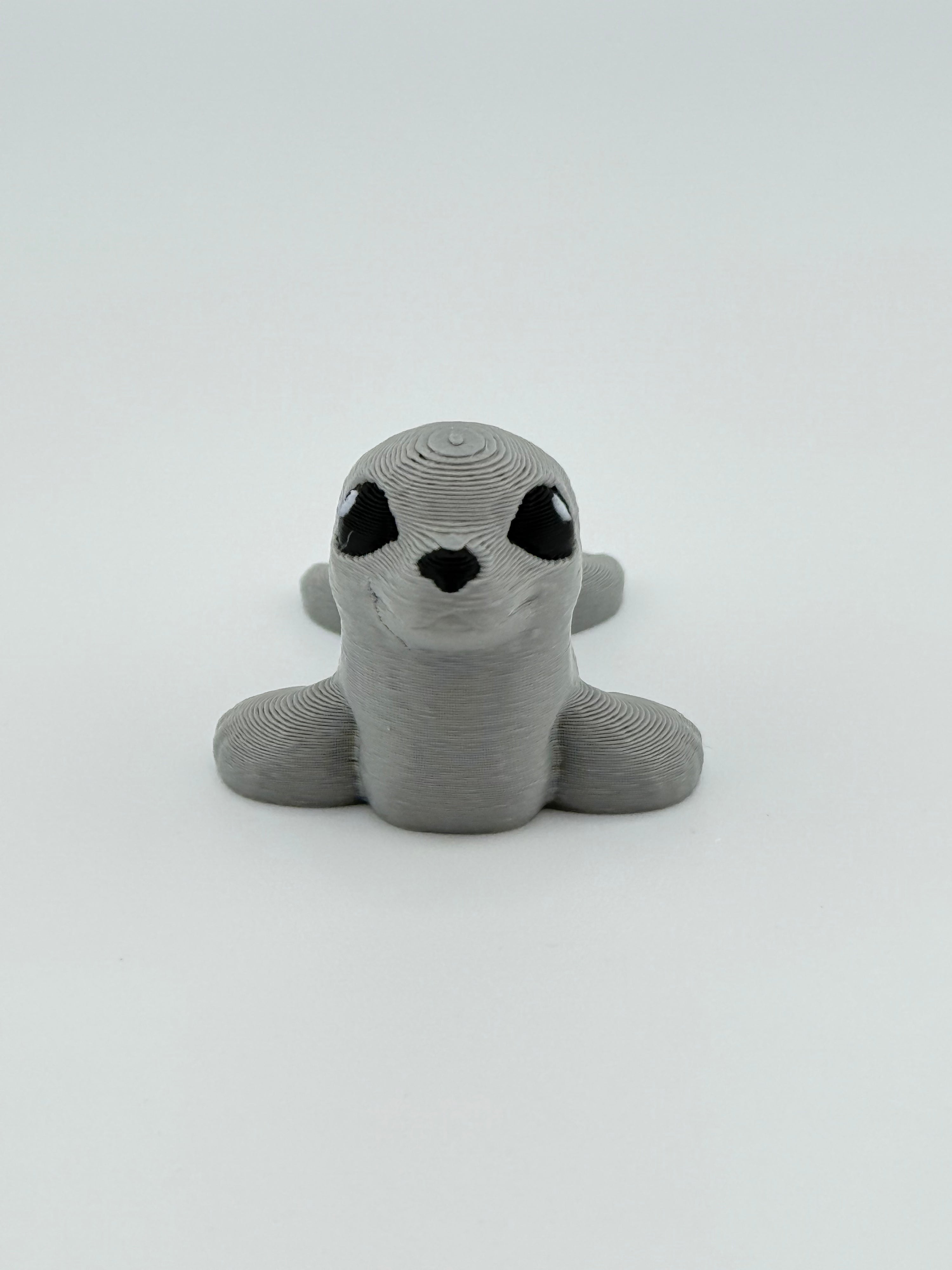 Seal Hatchling