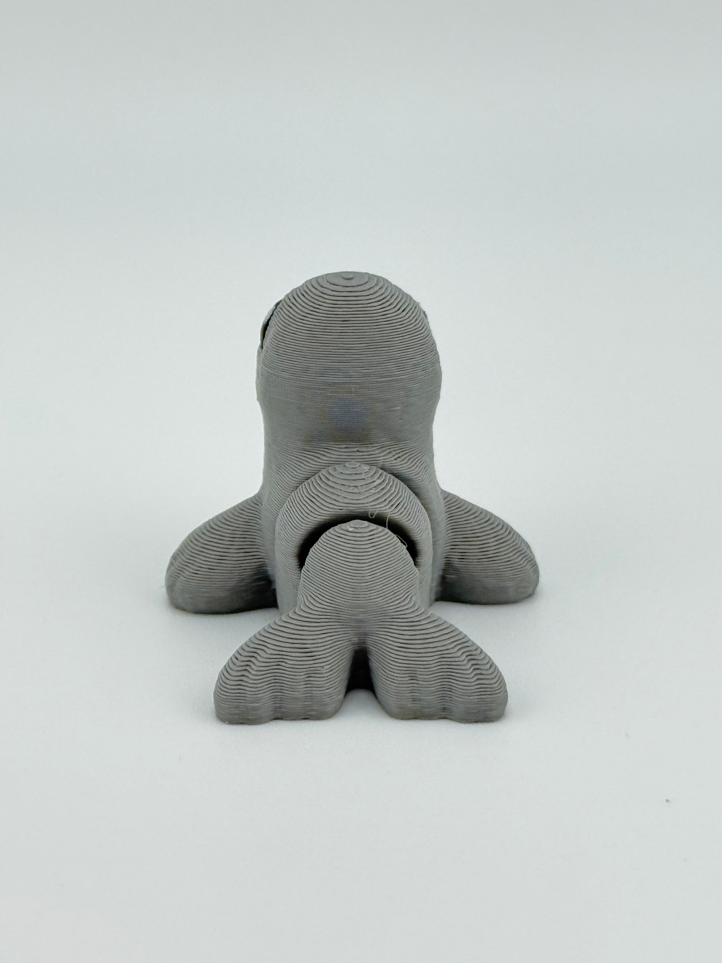 Seal Hatchling