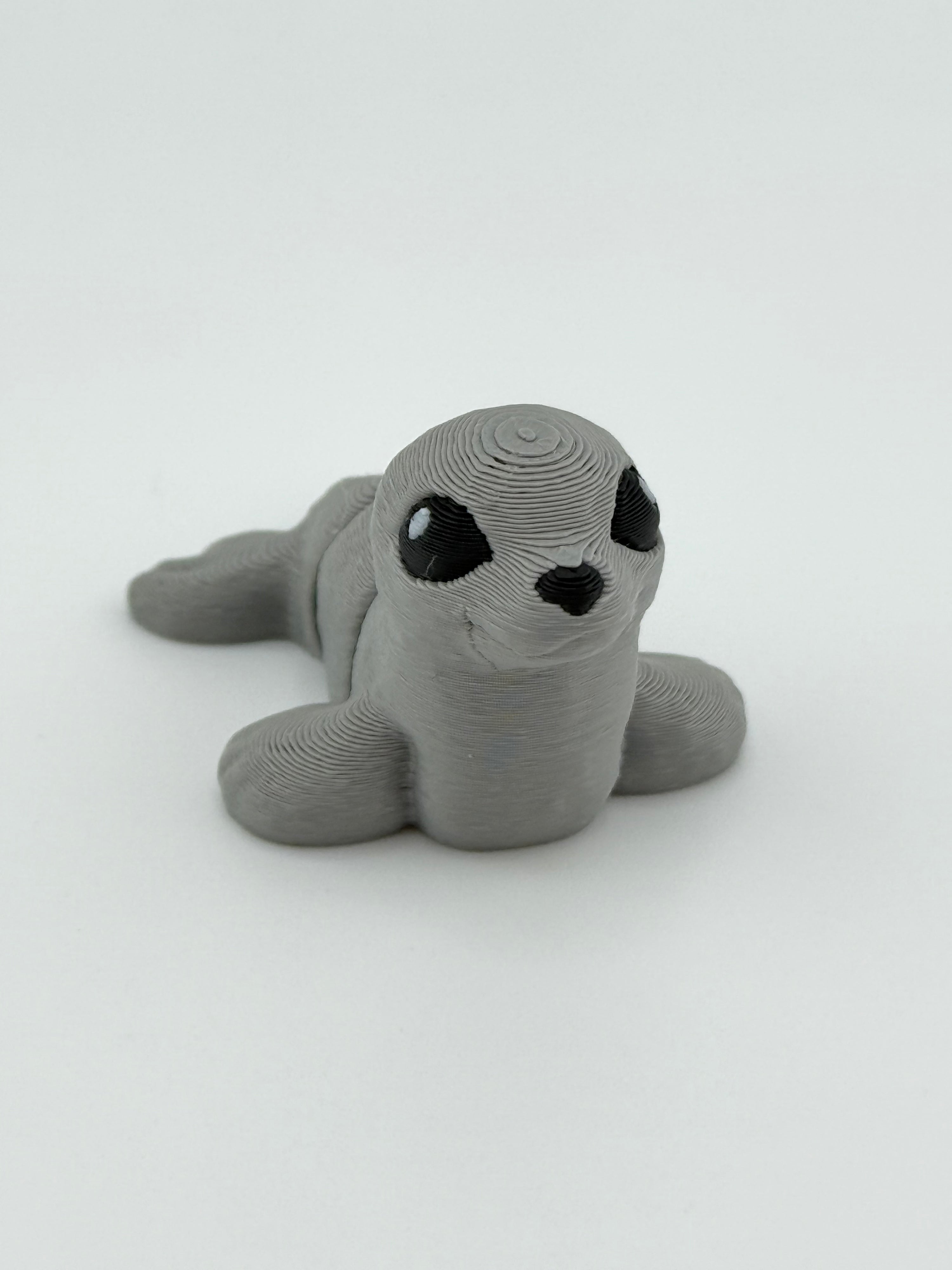 Seal Hatchling