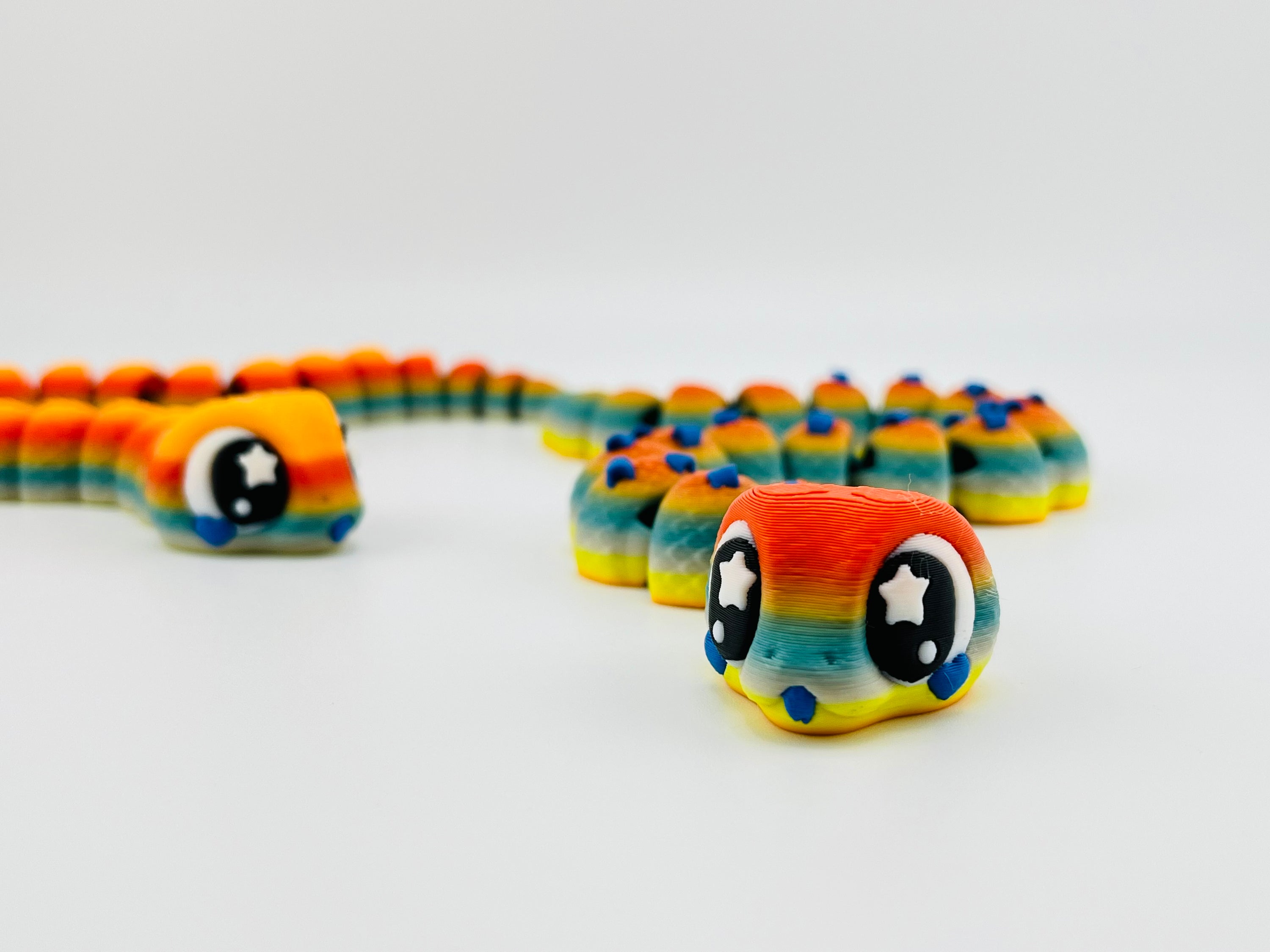 Rainbow Snake