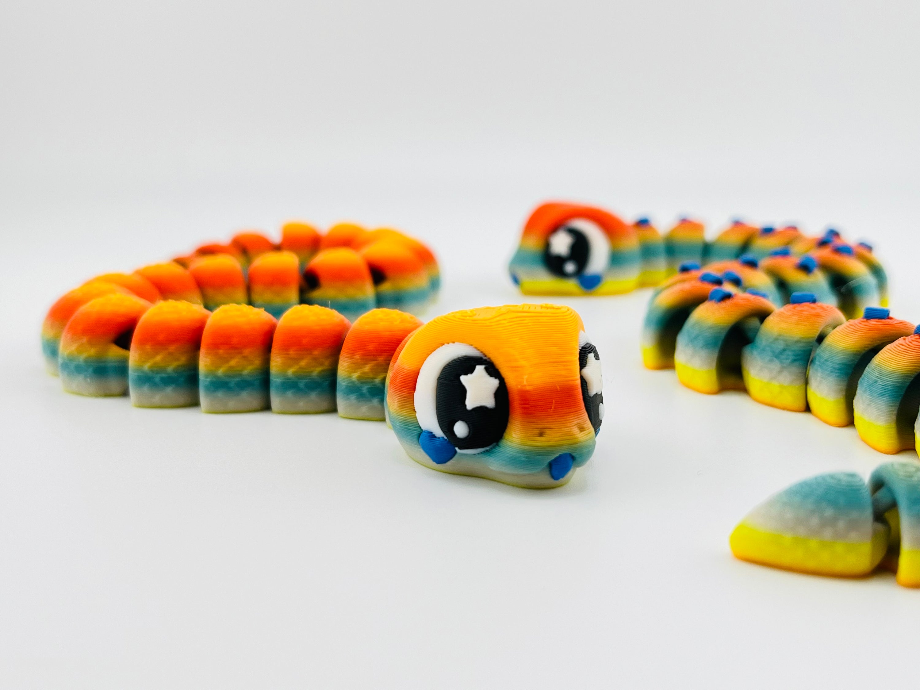 Rainbow Snake