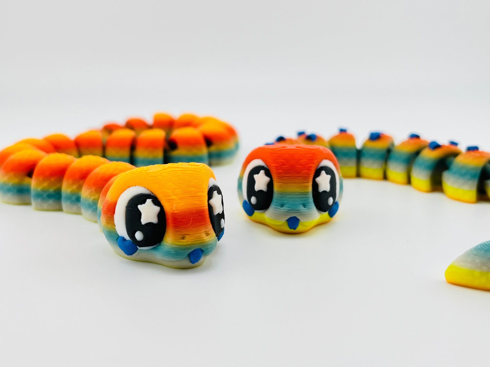 Rainbow Snake