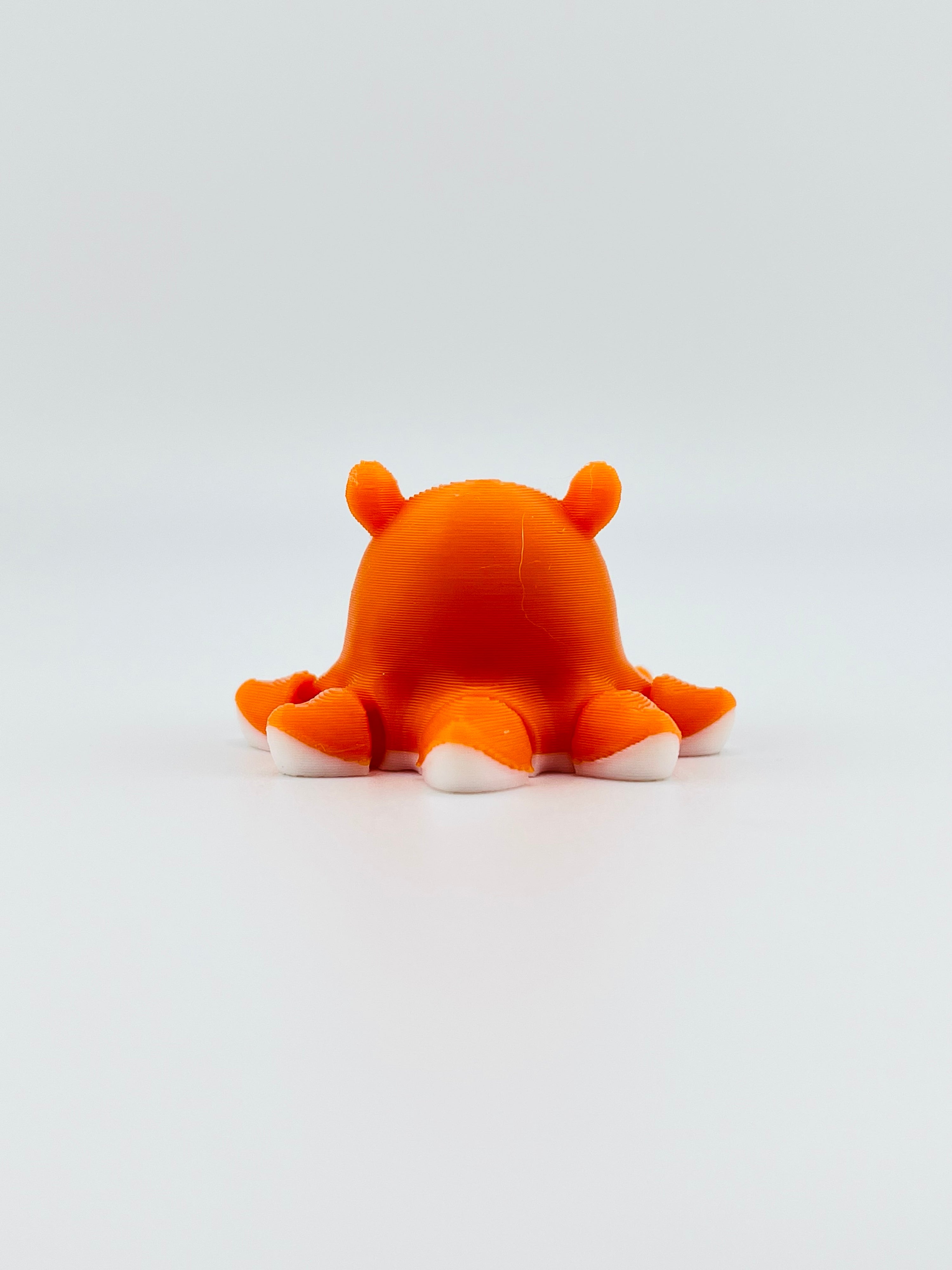 Orange Dumbo Octopus