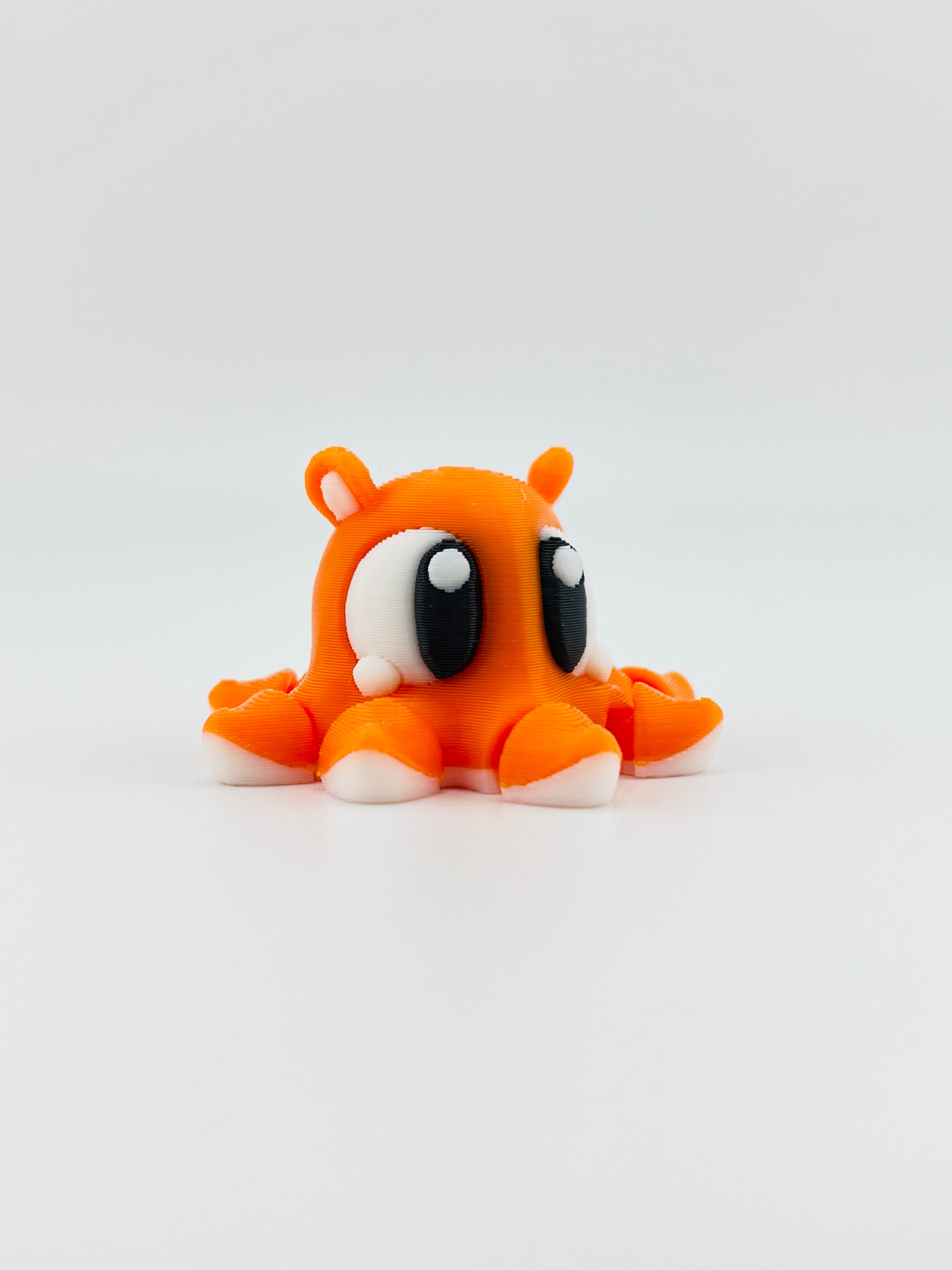 Orange Dumbo Octopus
