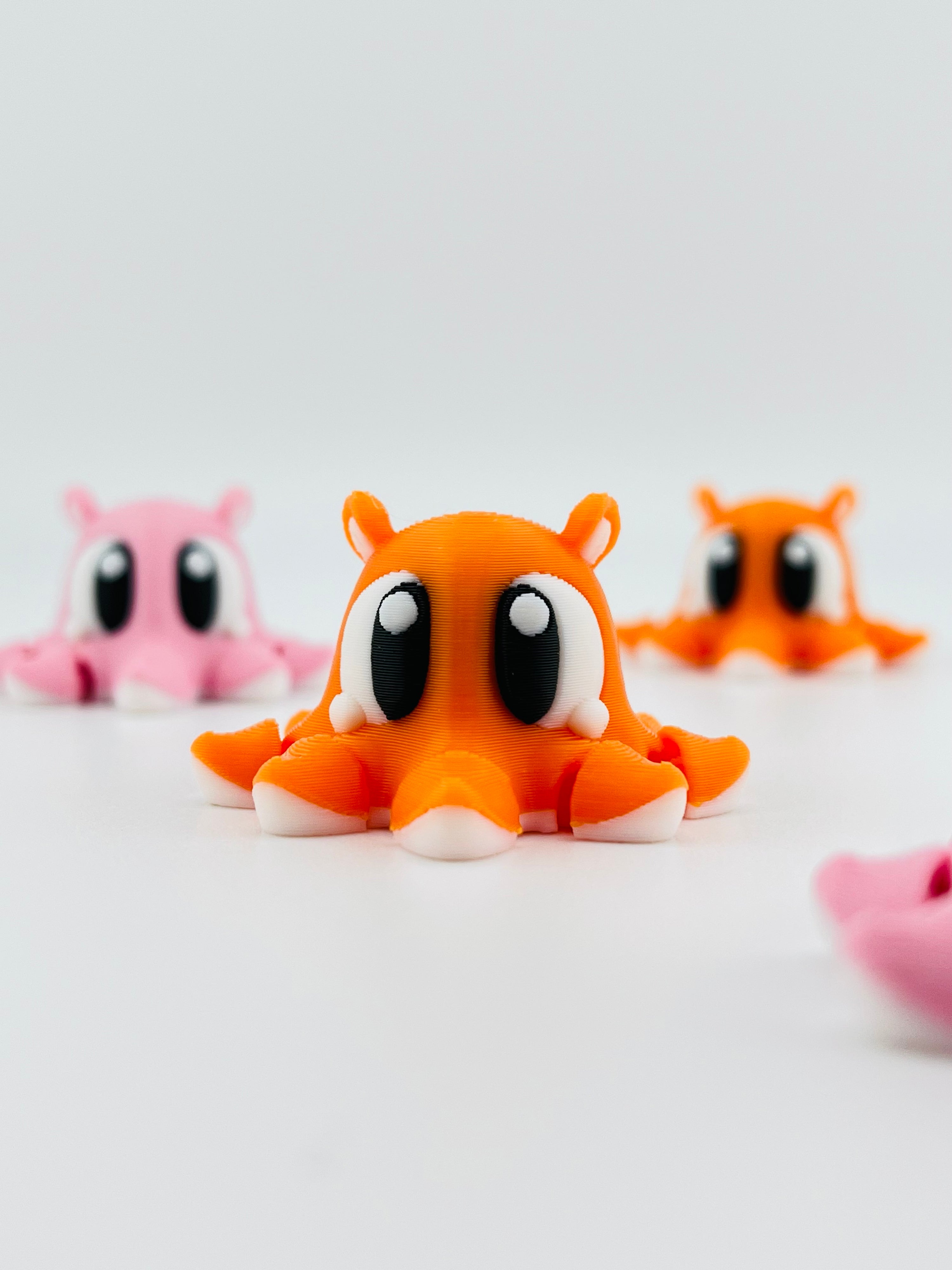 Orange Dumbo Octopus