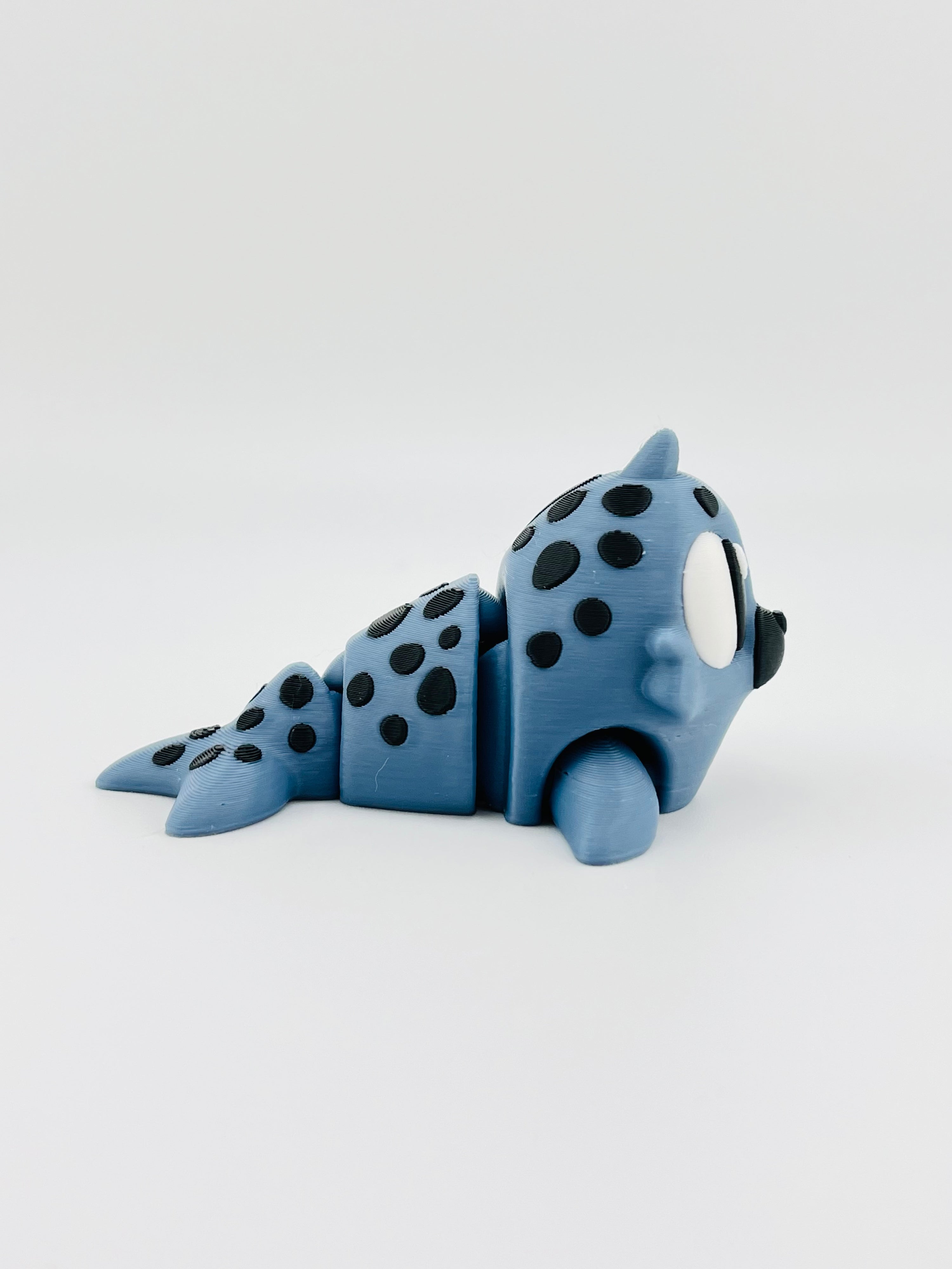 Gray Seal