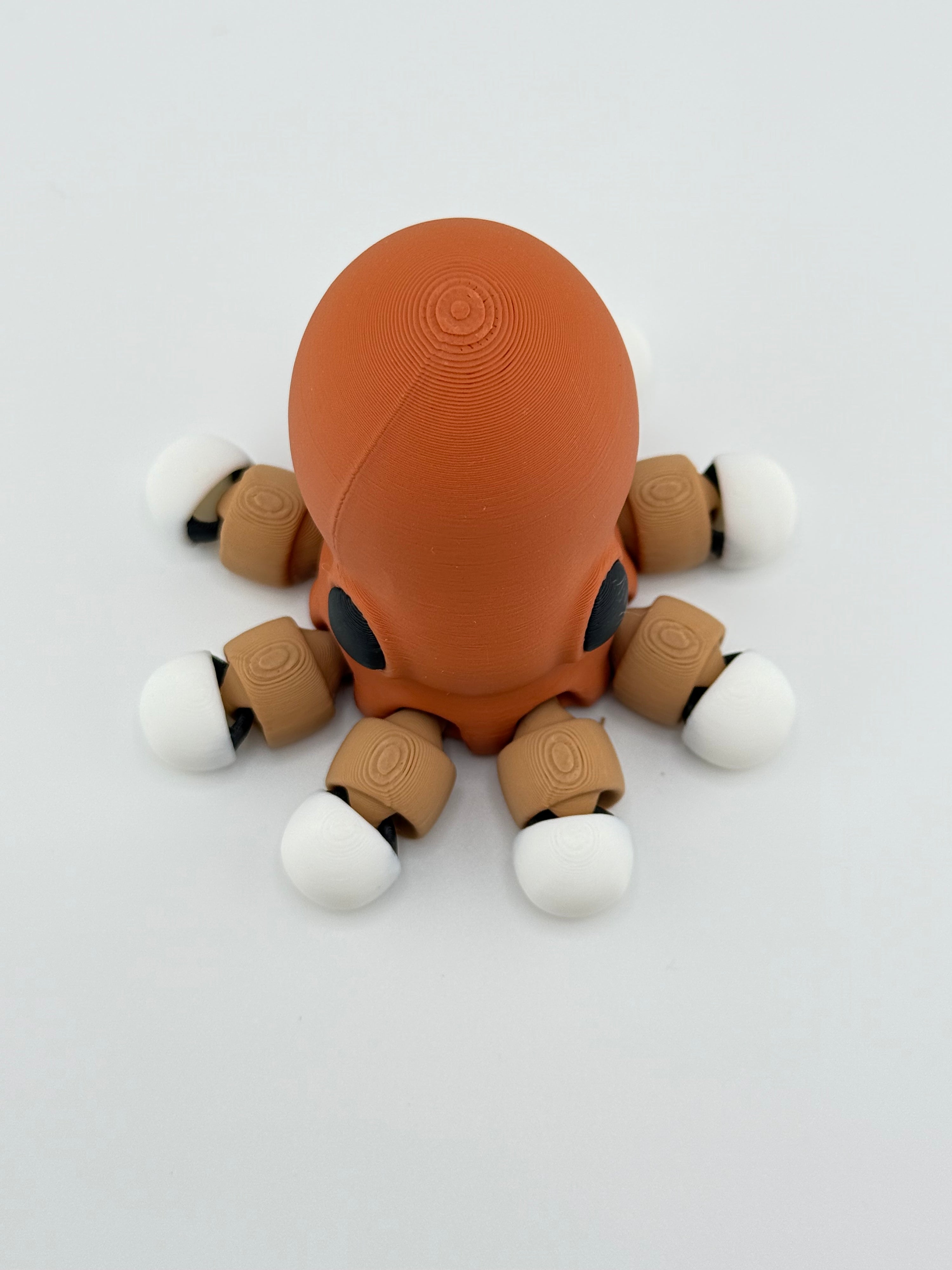Baby Octopus