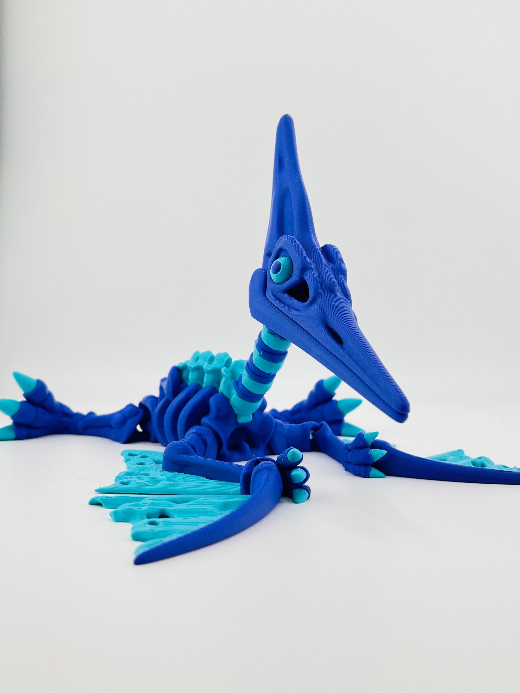 Dark Blue Skeleton Pteranodon