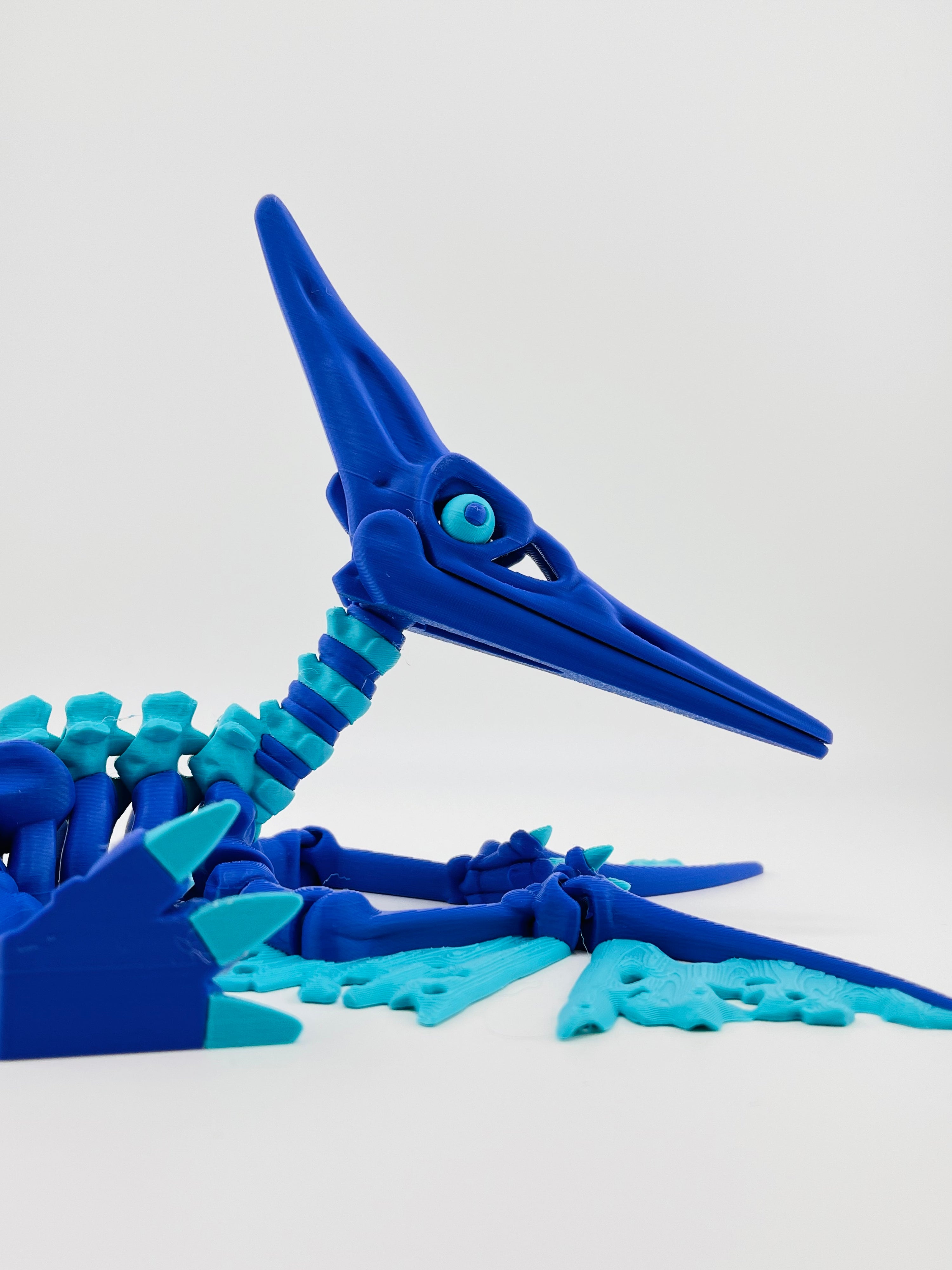 Dark Blue Skeleton Pteranodon
