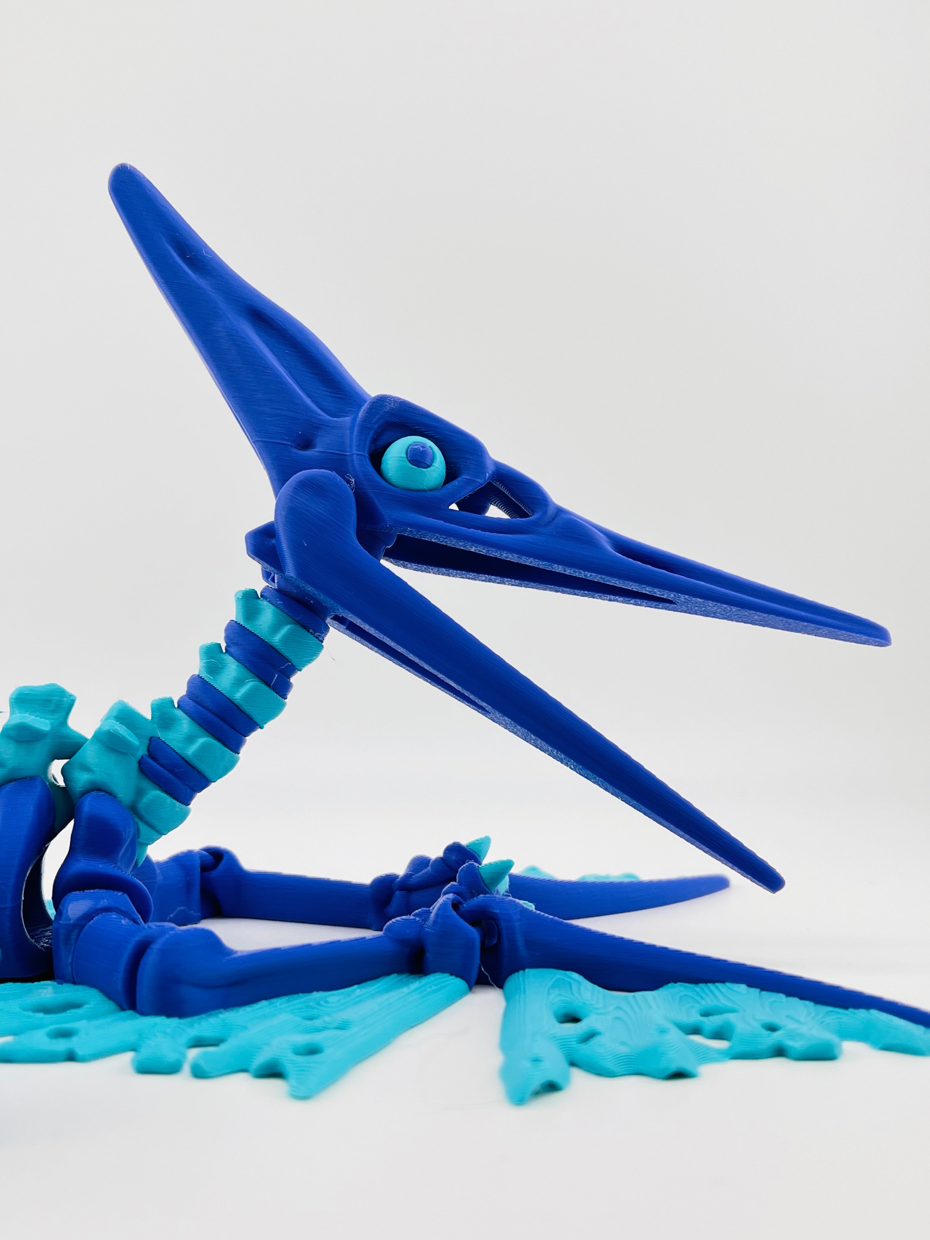 Dark Blue Skeleton Pteranodon