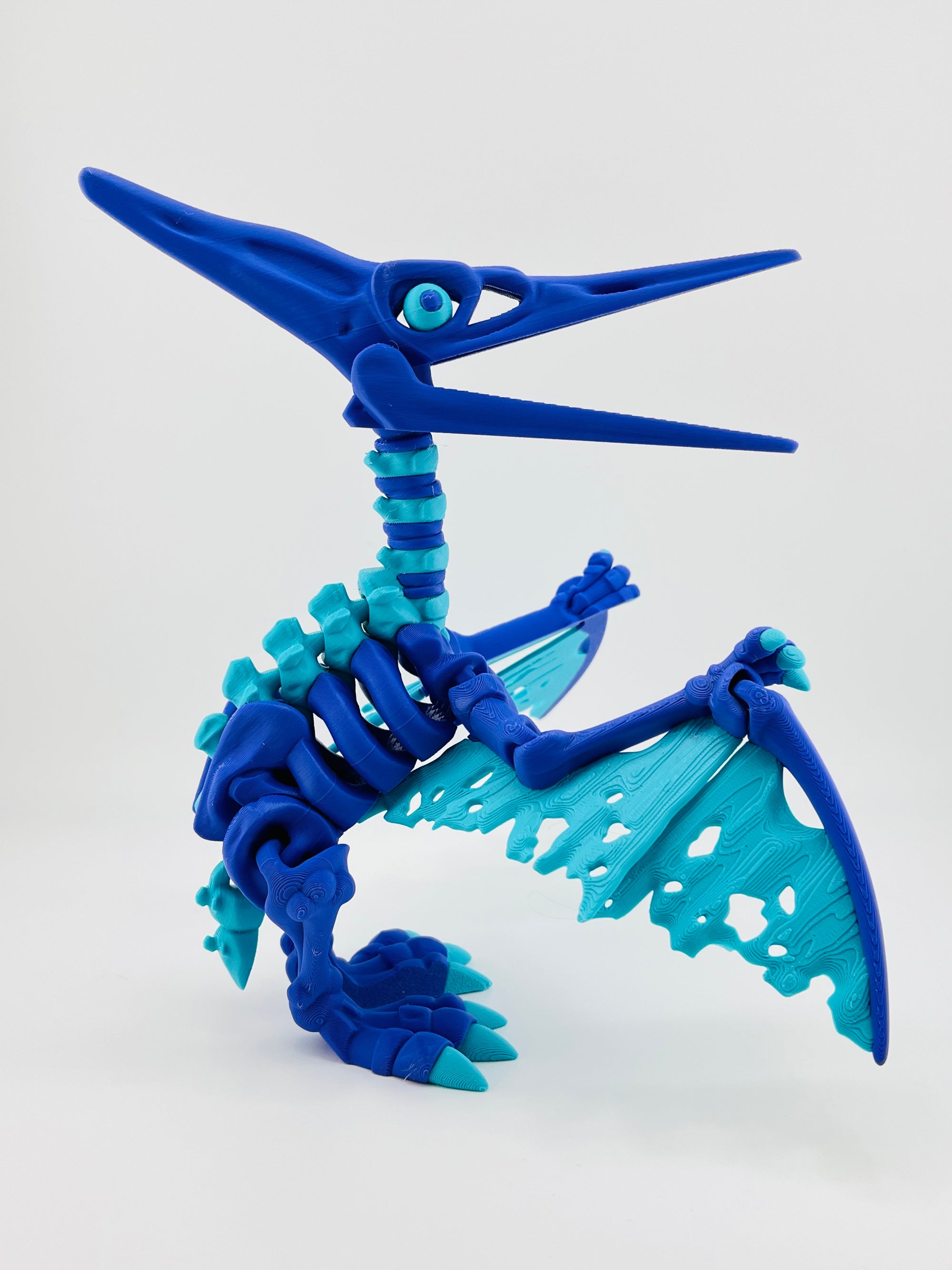 Dark Blue Skeleton Pteranodon