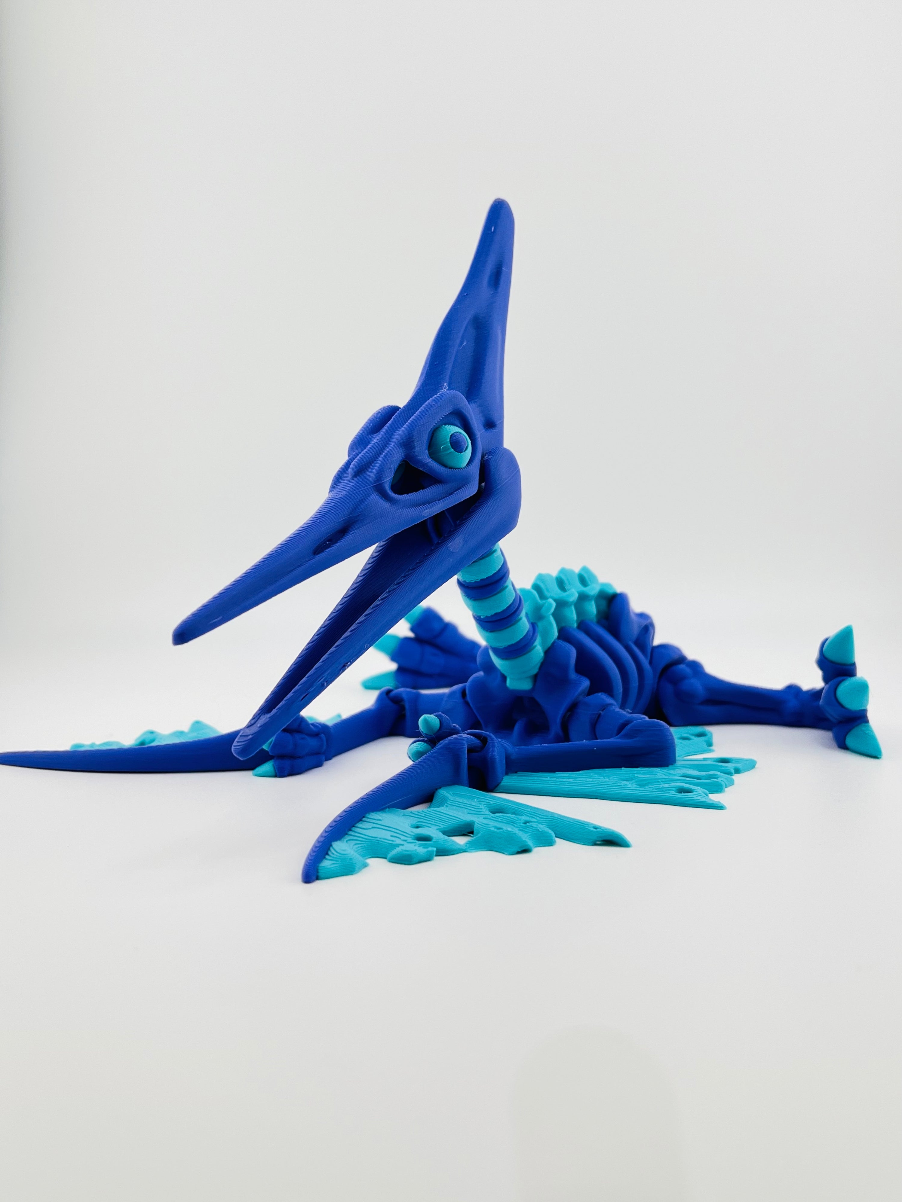Dark Blue Skeleton Pteranodon