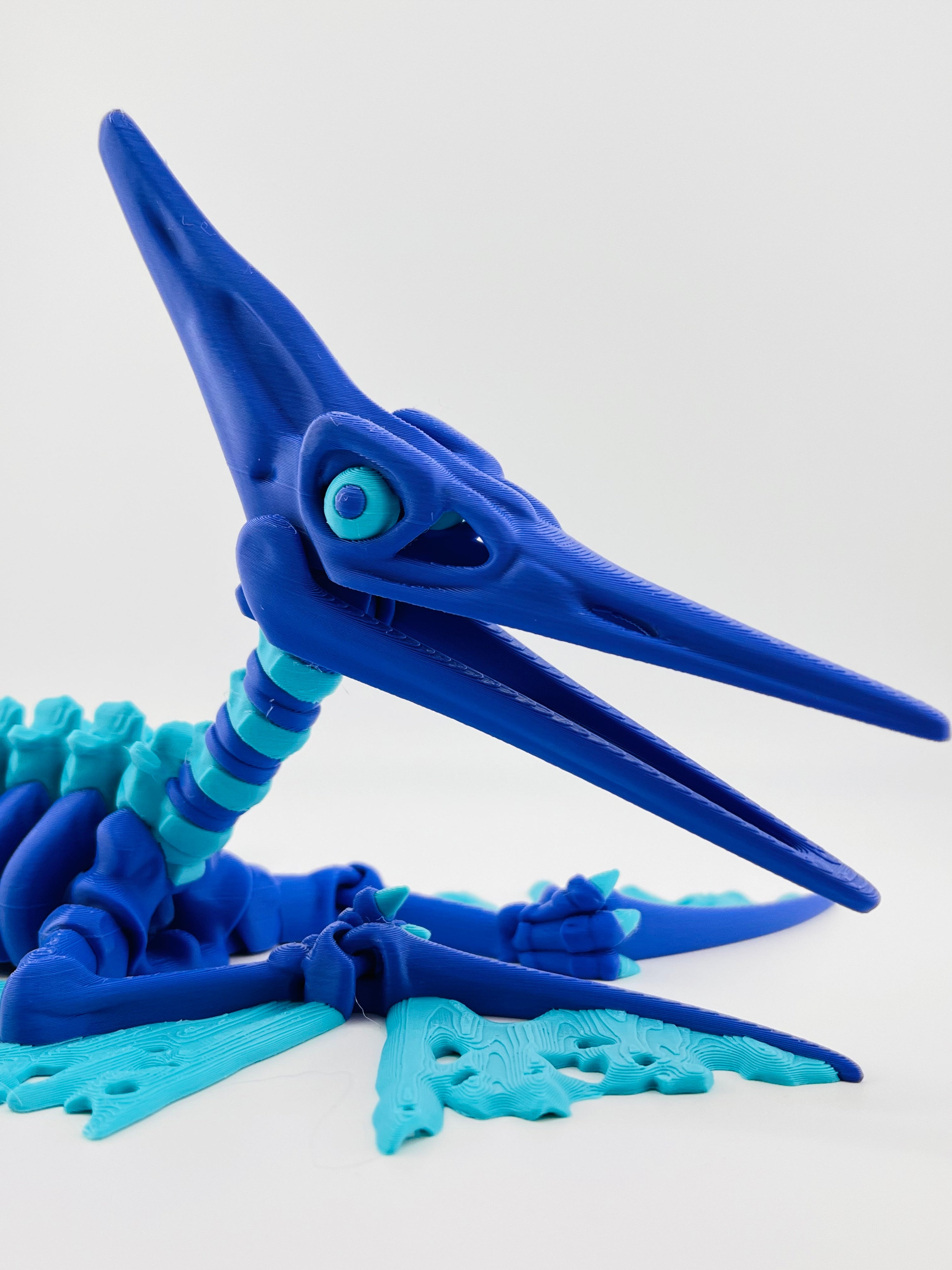 Dark Blue Skeleton Pteranodon