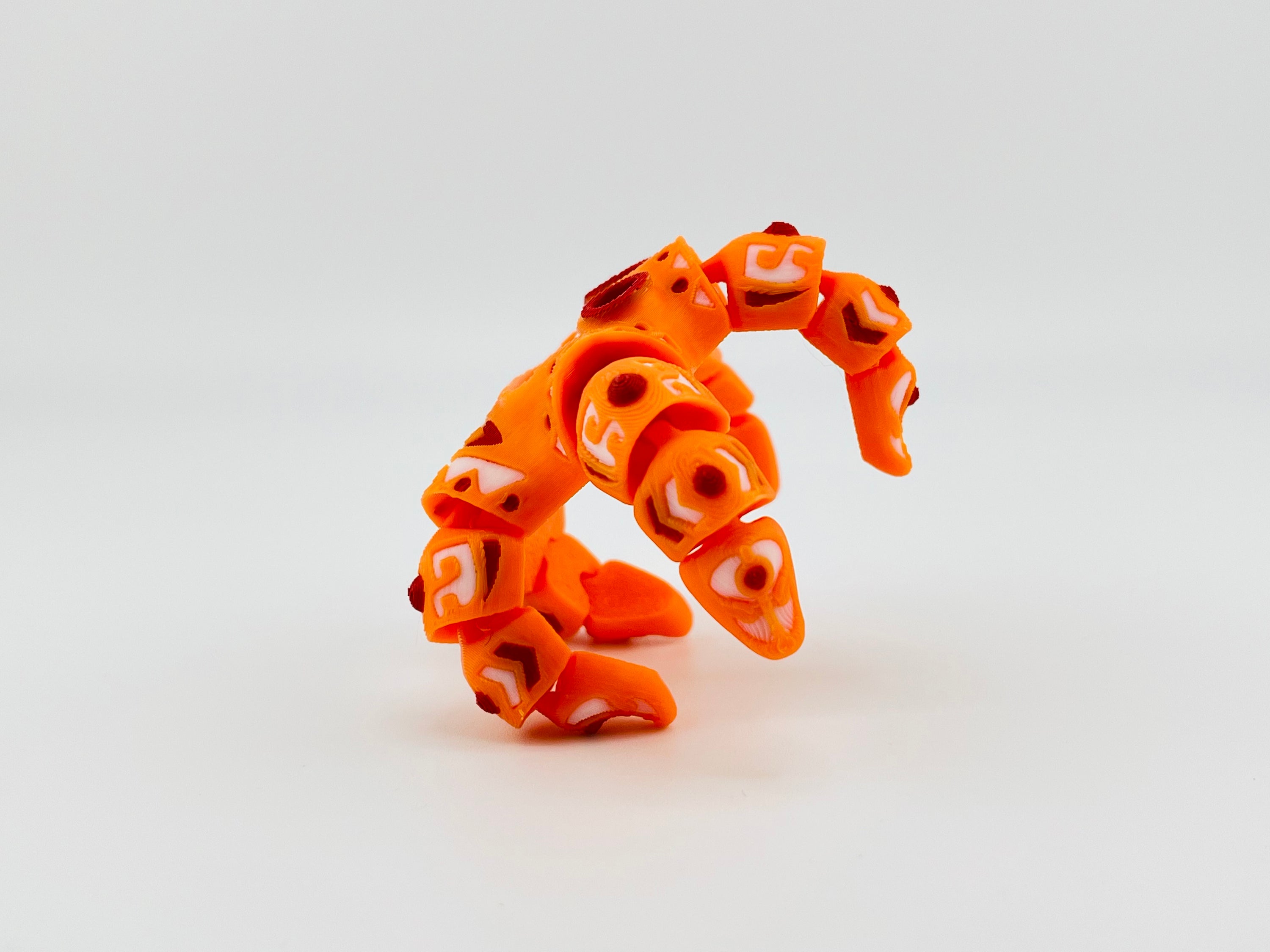 Orange Small Tattooed Starfish