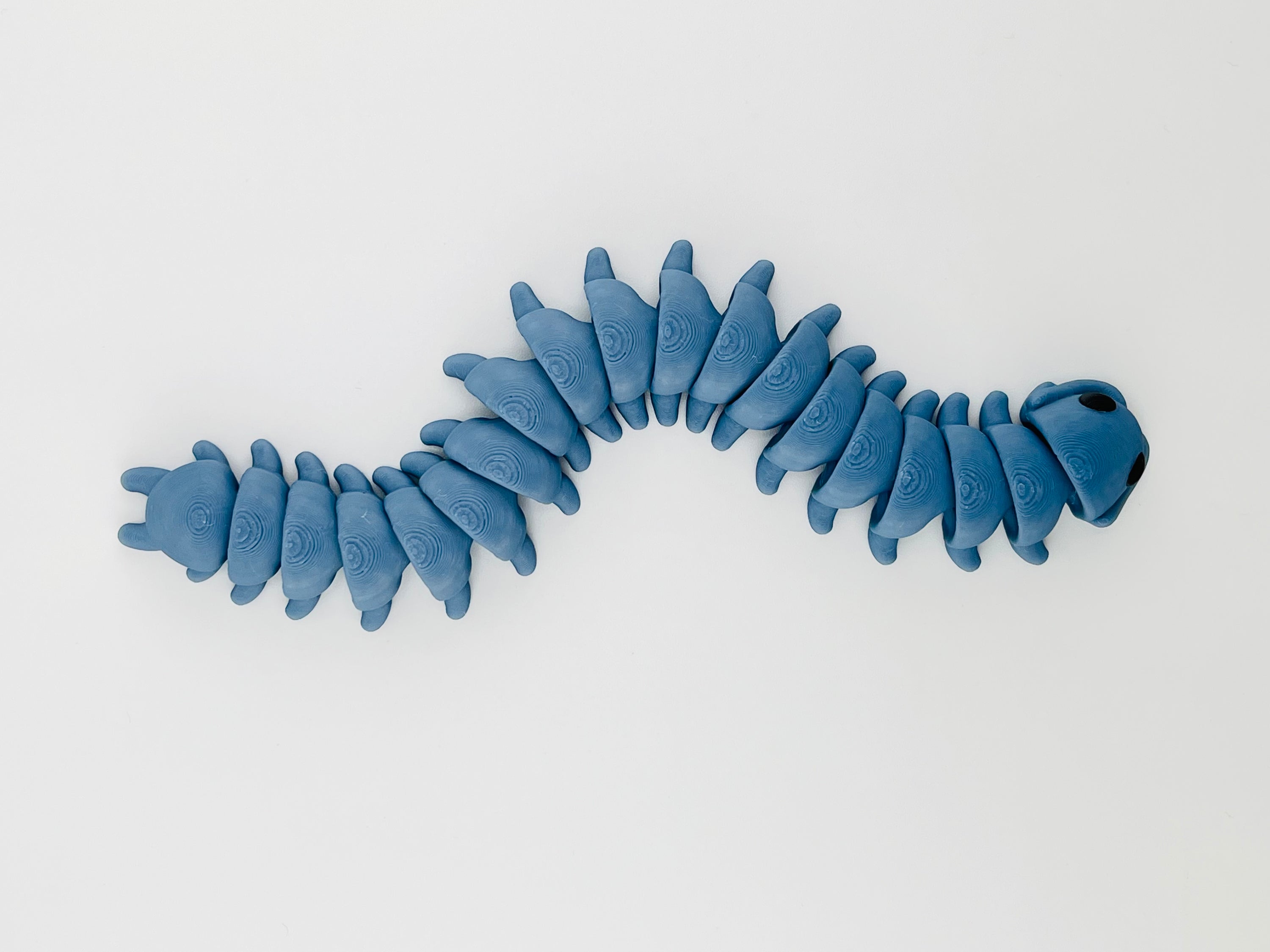 Centipede
