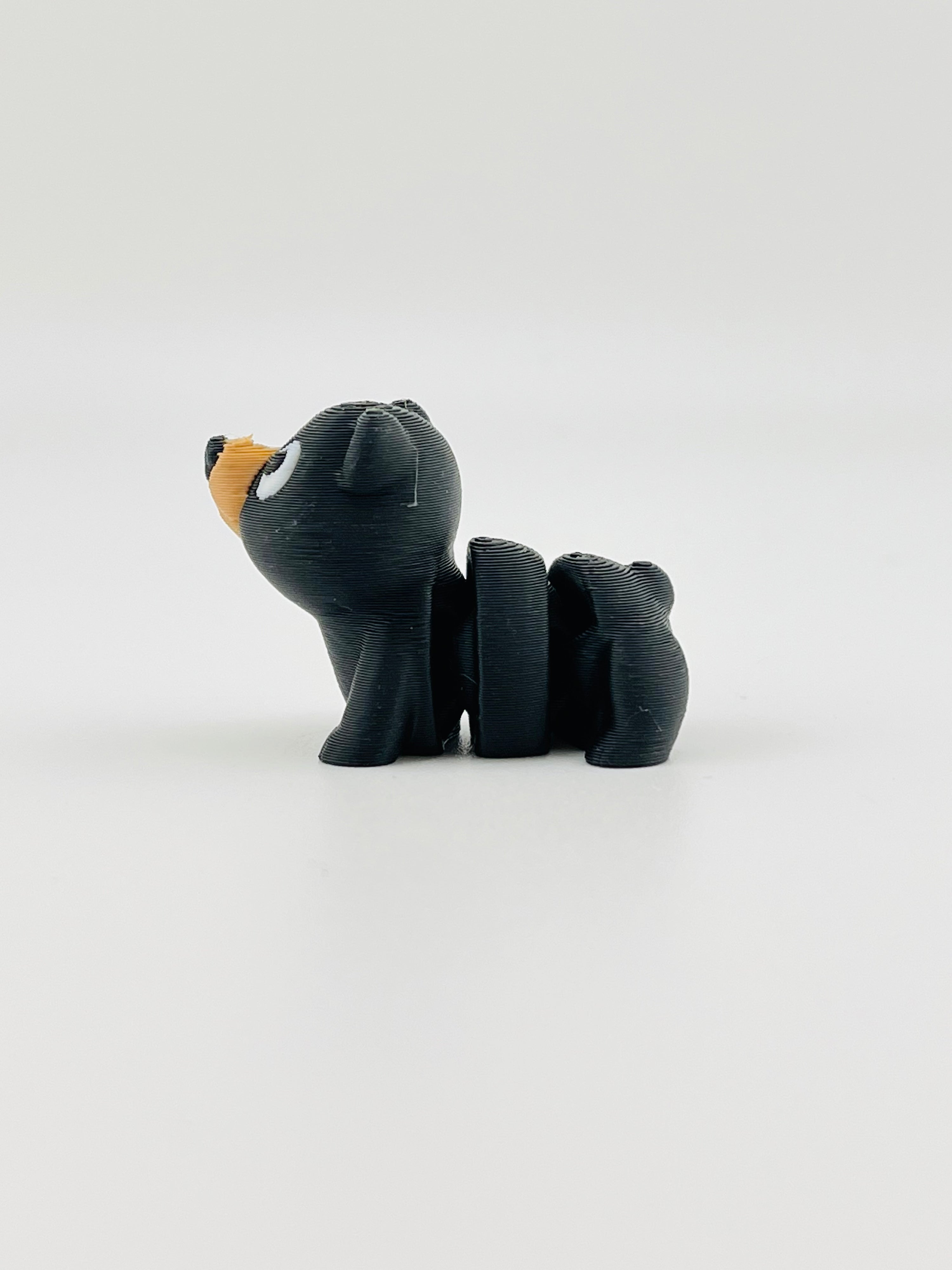 Black Bear