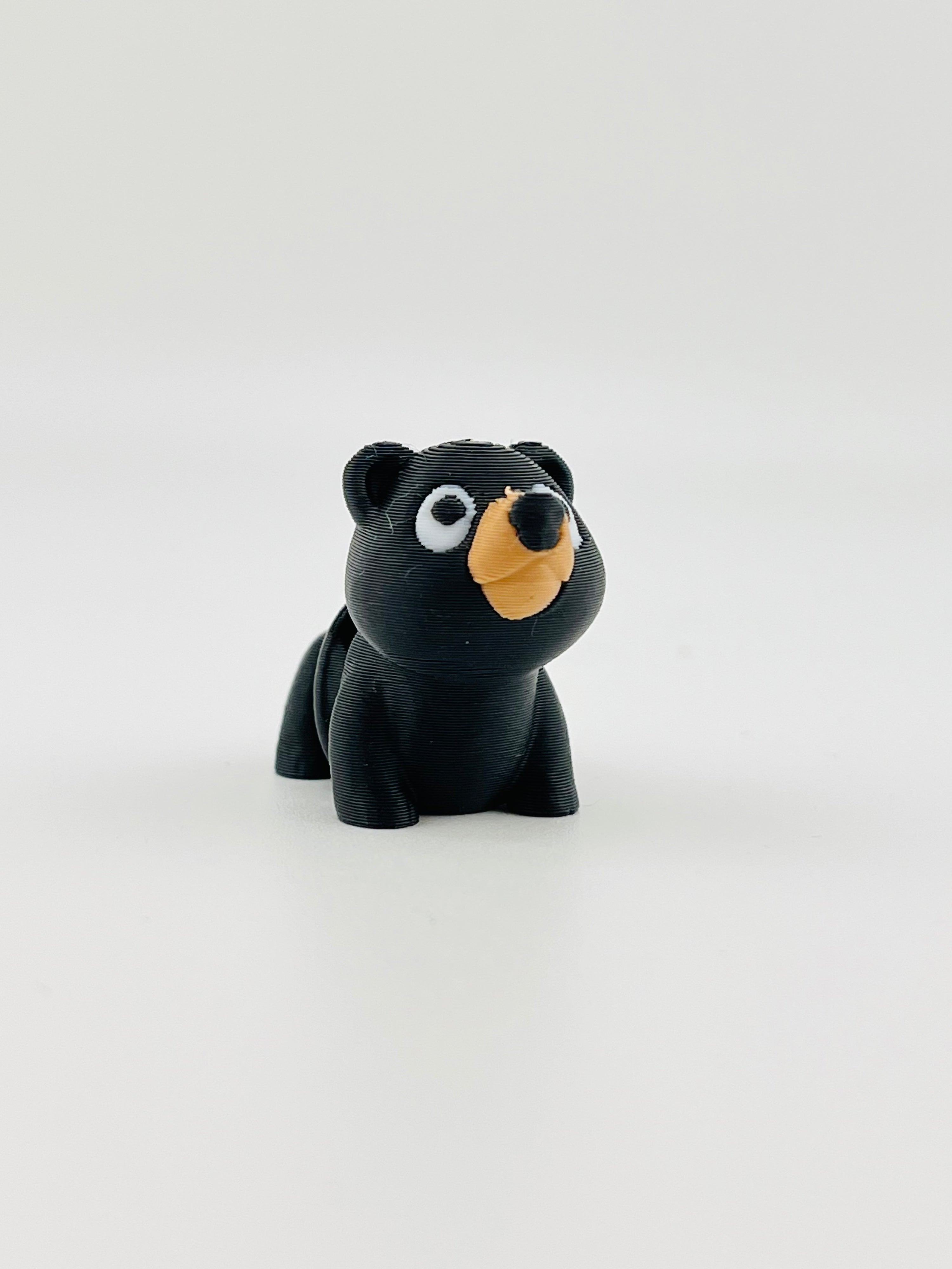 Black Bear