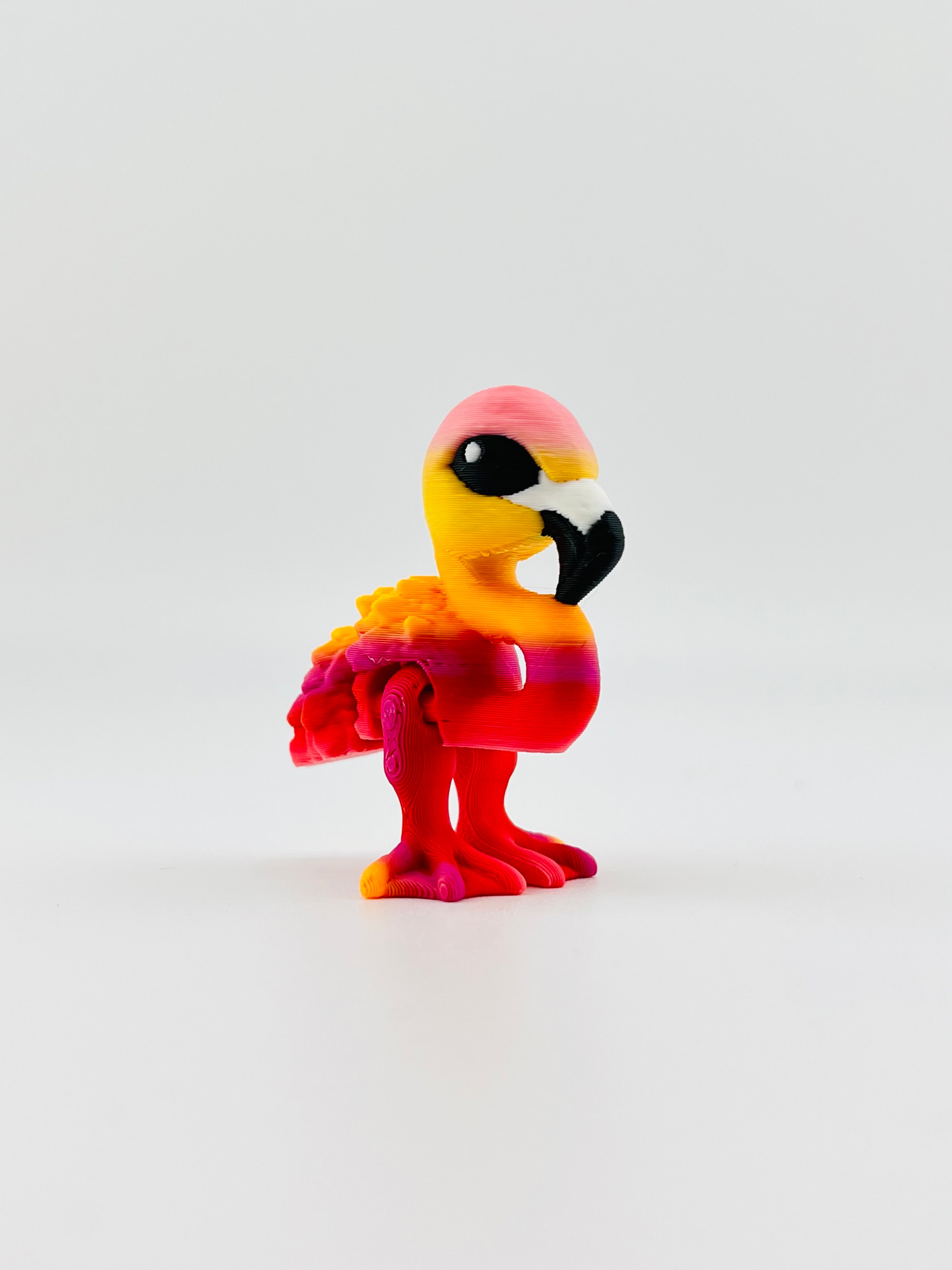 Flamingo Hatchling
