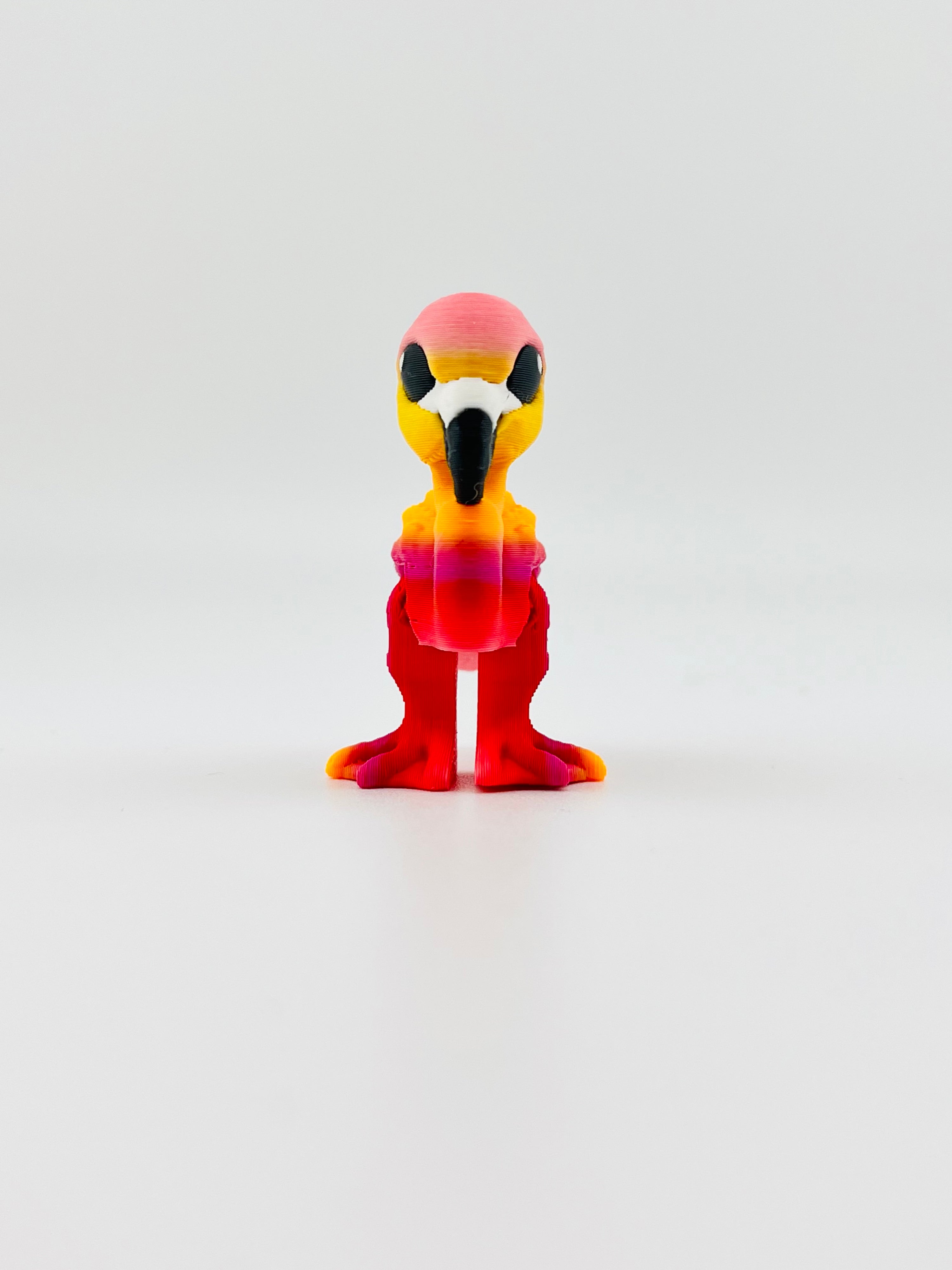 Flamingo Hatchling