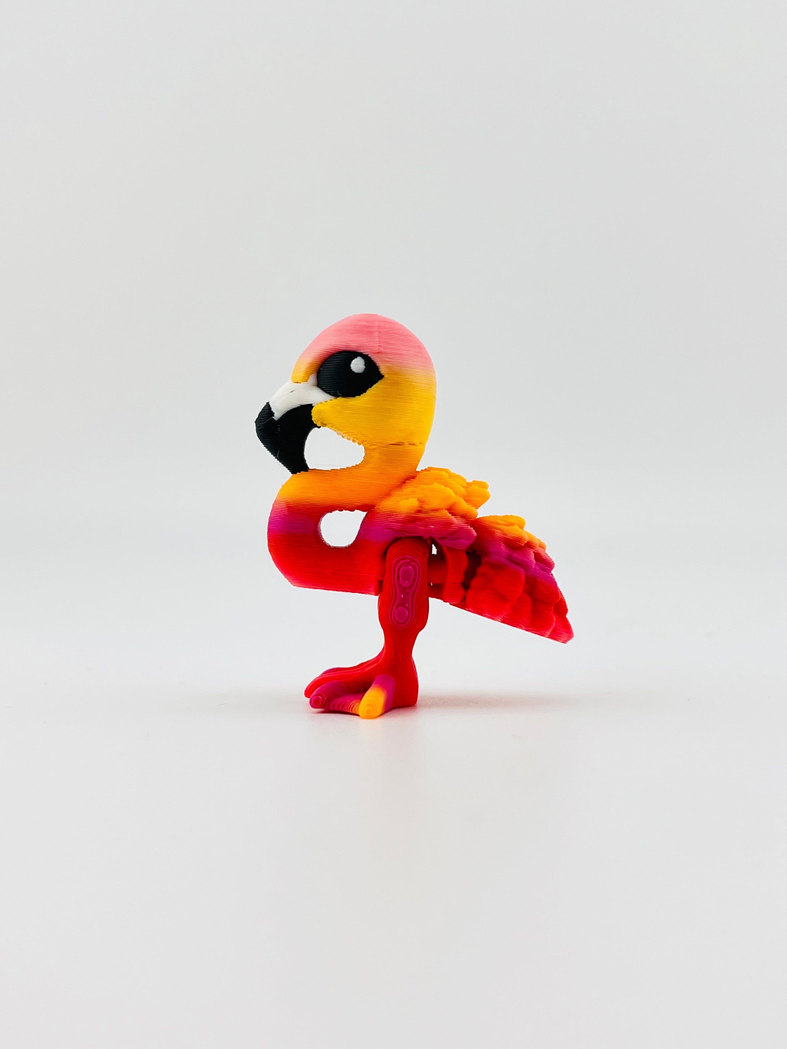 Flamingo Hatchling