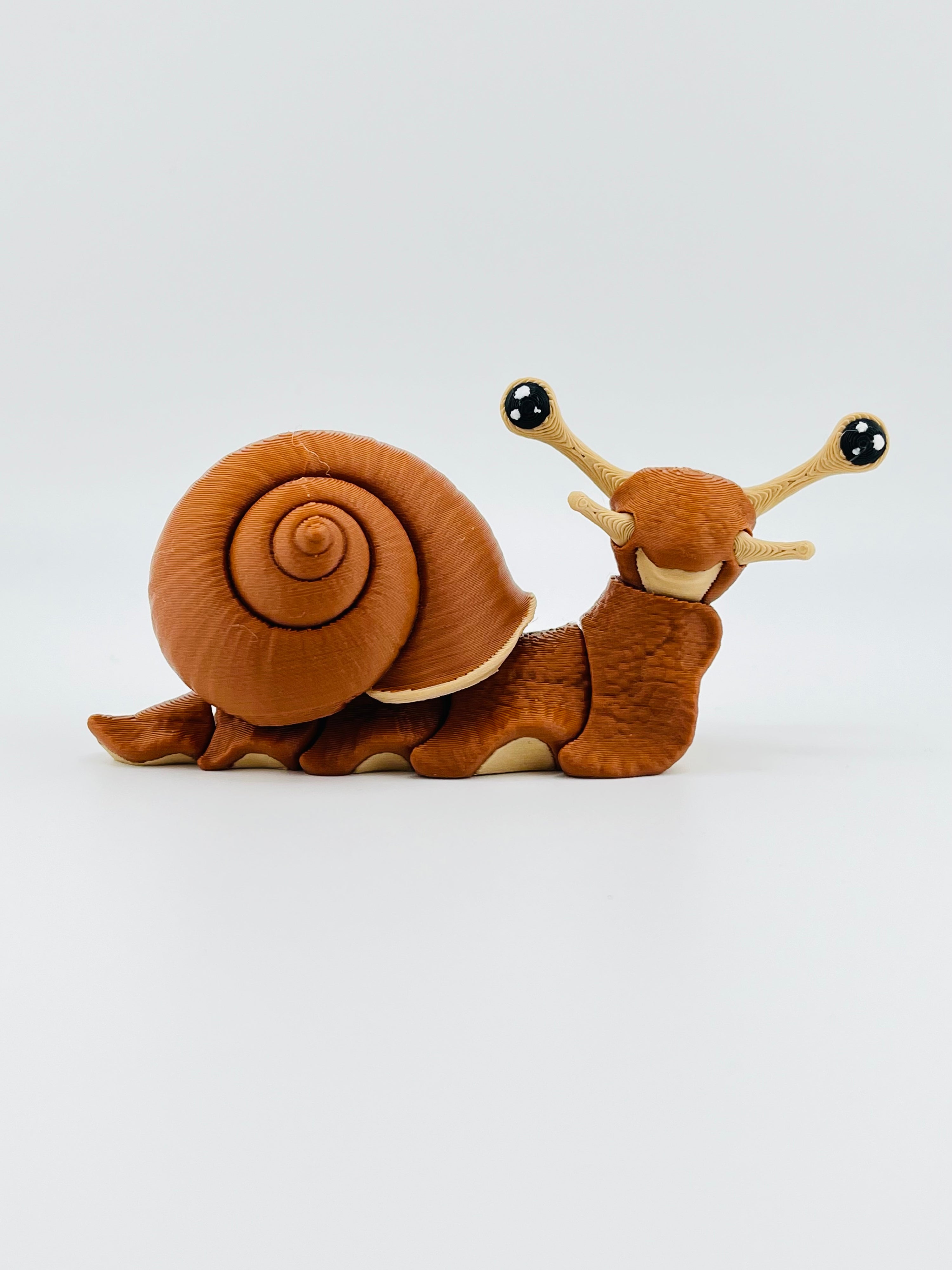 Snail