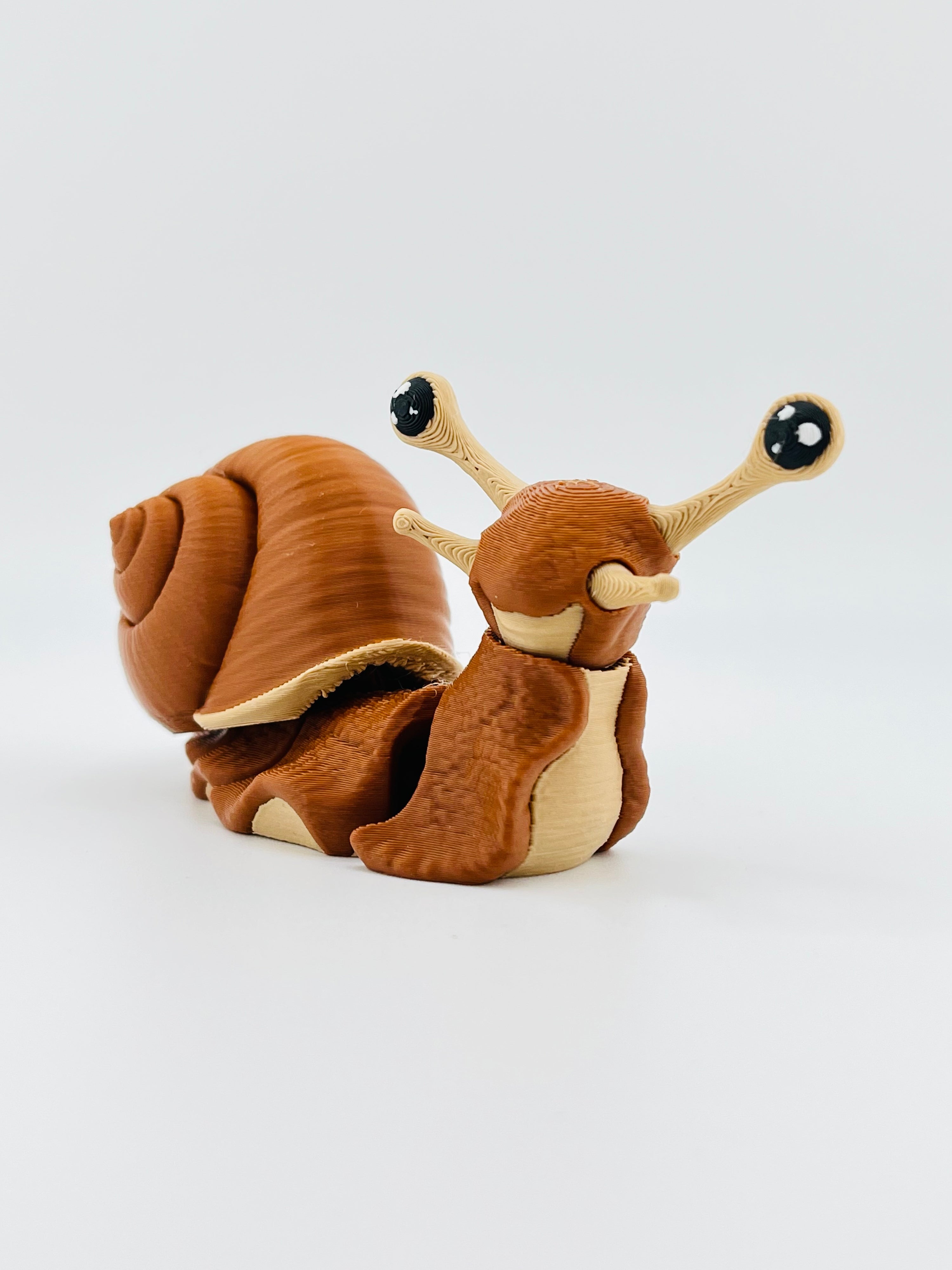Snail