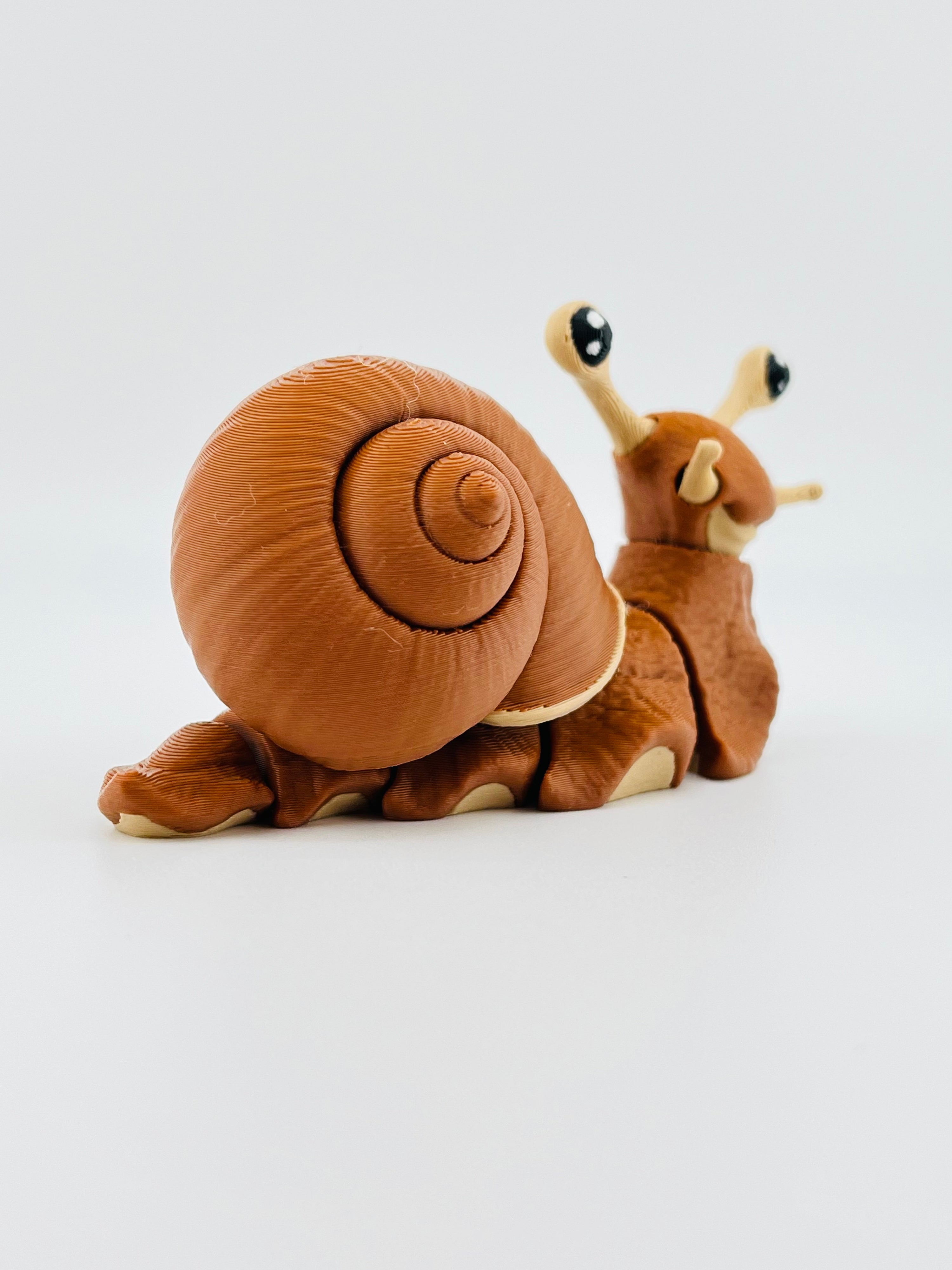 Snail